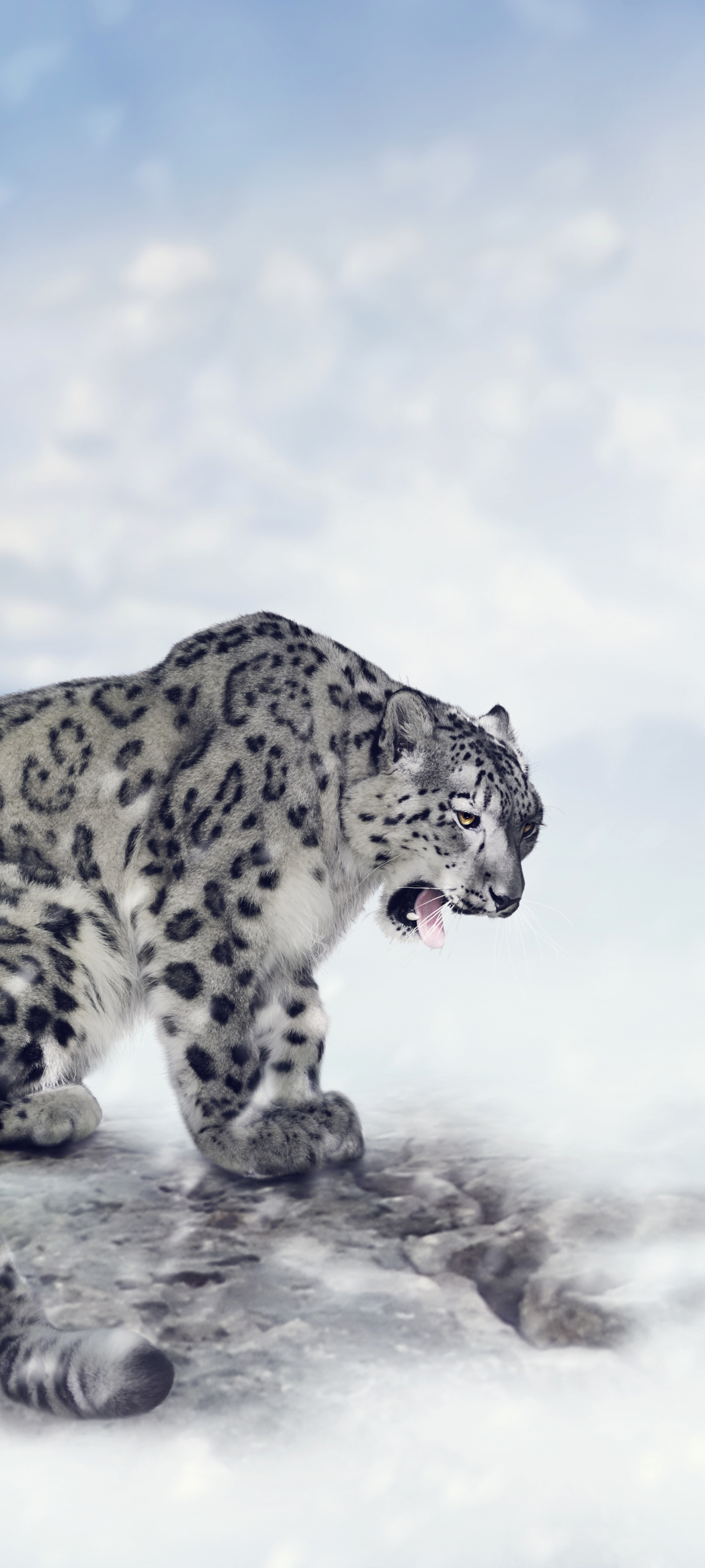 Descarga gratuita de fondo de pantalla para móvil de Animales, Gatos, Leopardo De Las Nieves.