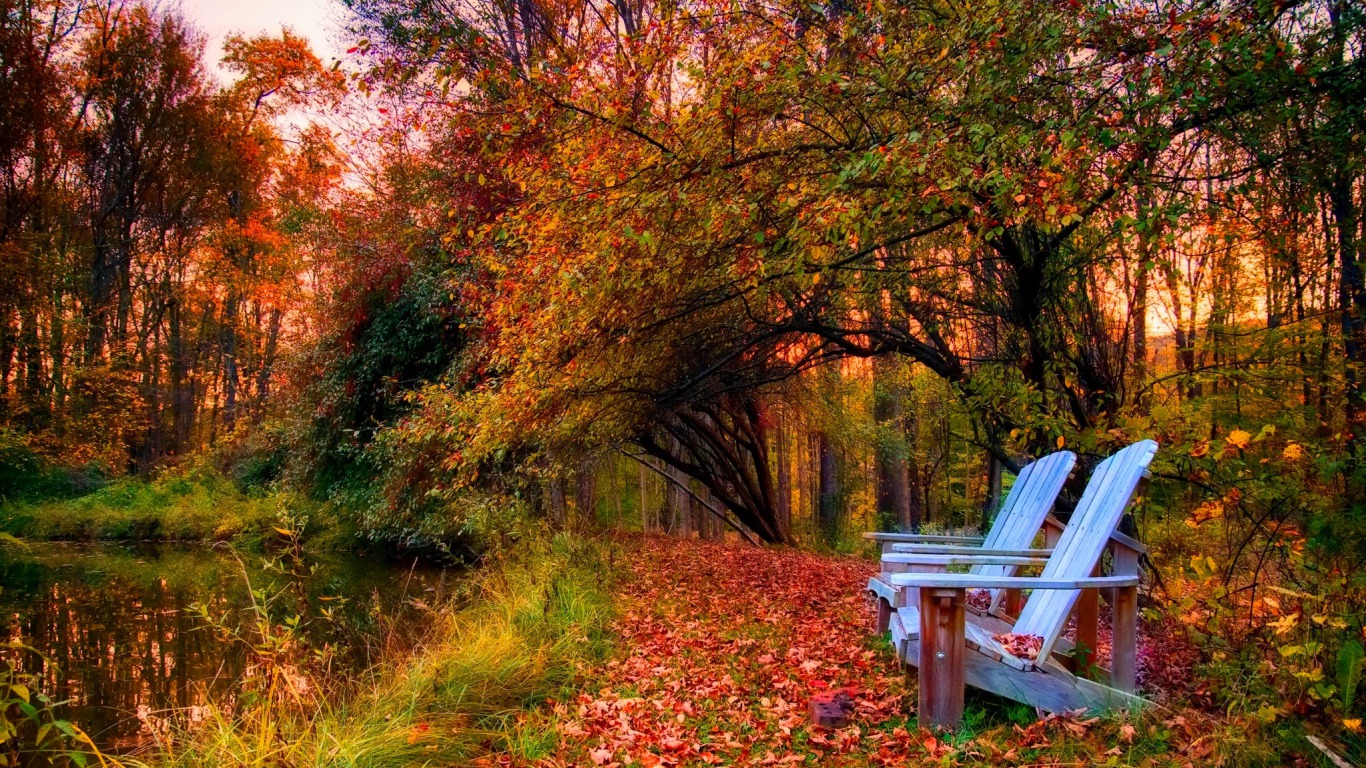 Free download wallpaper Forest, Chair, Fall, Photography on your PC desktop