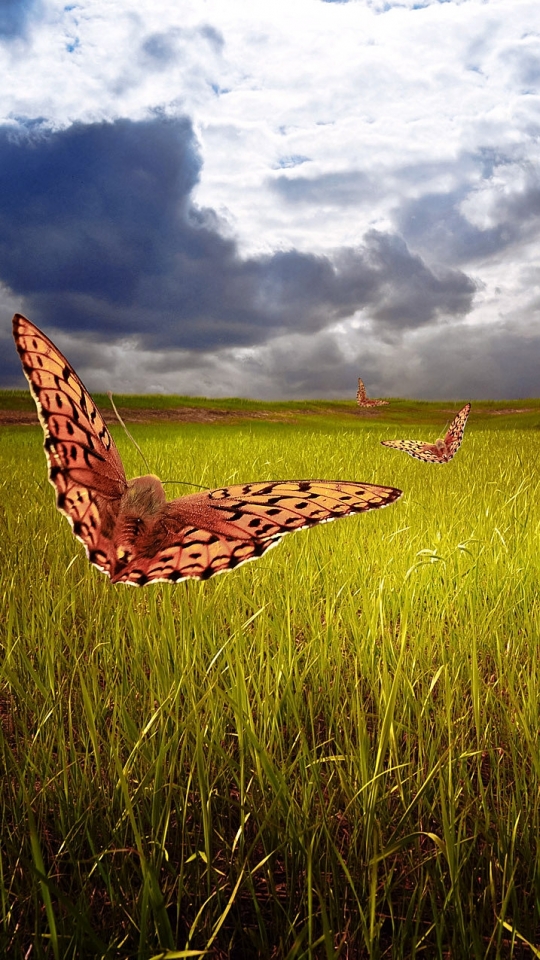 Download mobile wallpaper Fantasy, Grass, Sky, Field, Butterfly, Artistic, Cloud for free.