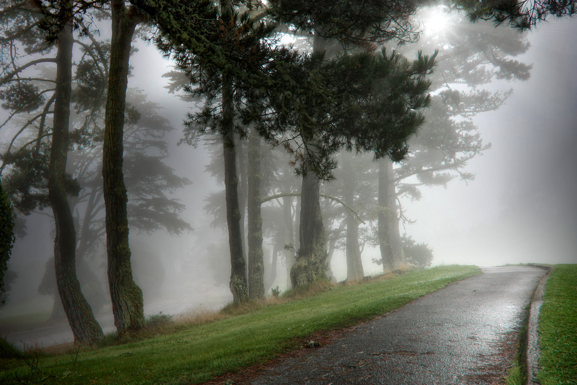 Free download wallpaper Fog, Earth on your PC desktop