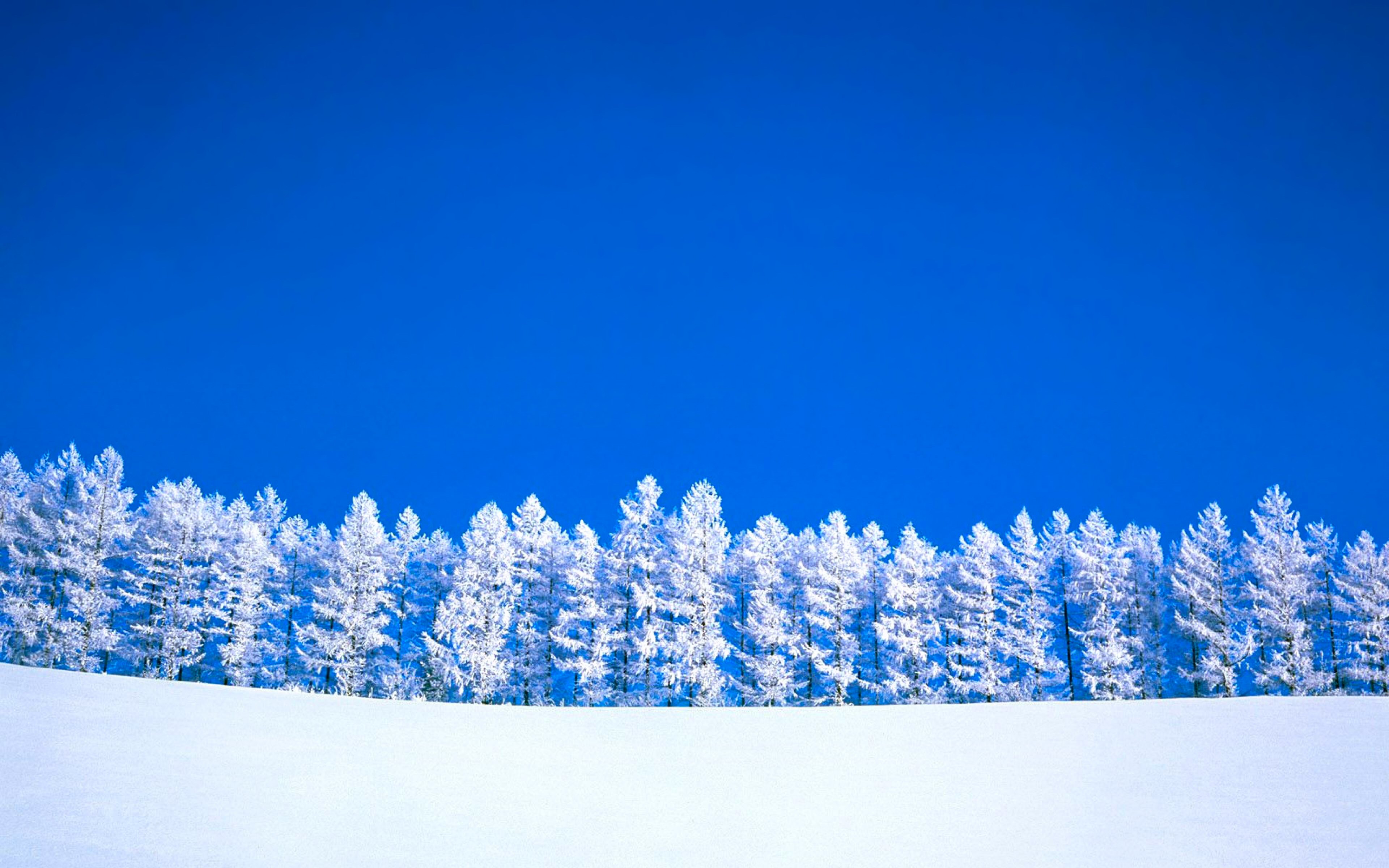 Скачать картинку Зима, Небо, Снег, Синий, Земля/природа в телефон бесплатно.