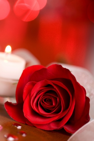 Download mobile wallpaper Valentine's Day, Holiday for free.