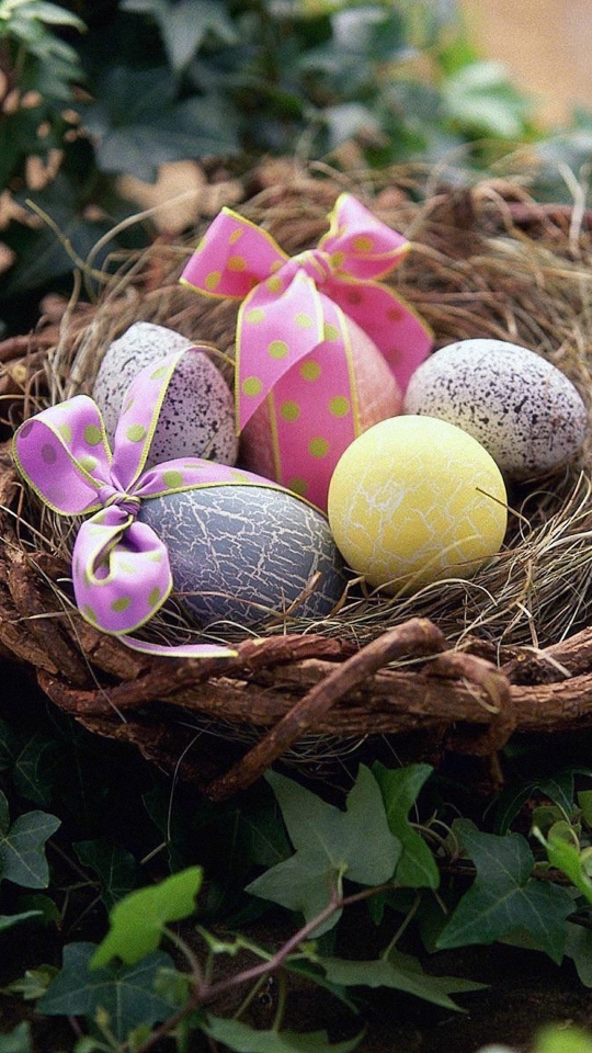 Download mobile wallpaper Easter, Vine, Holiday, Basket, Egg, Nest, Bow (Clothing) for free.