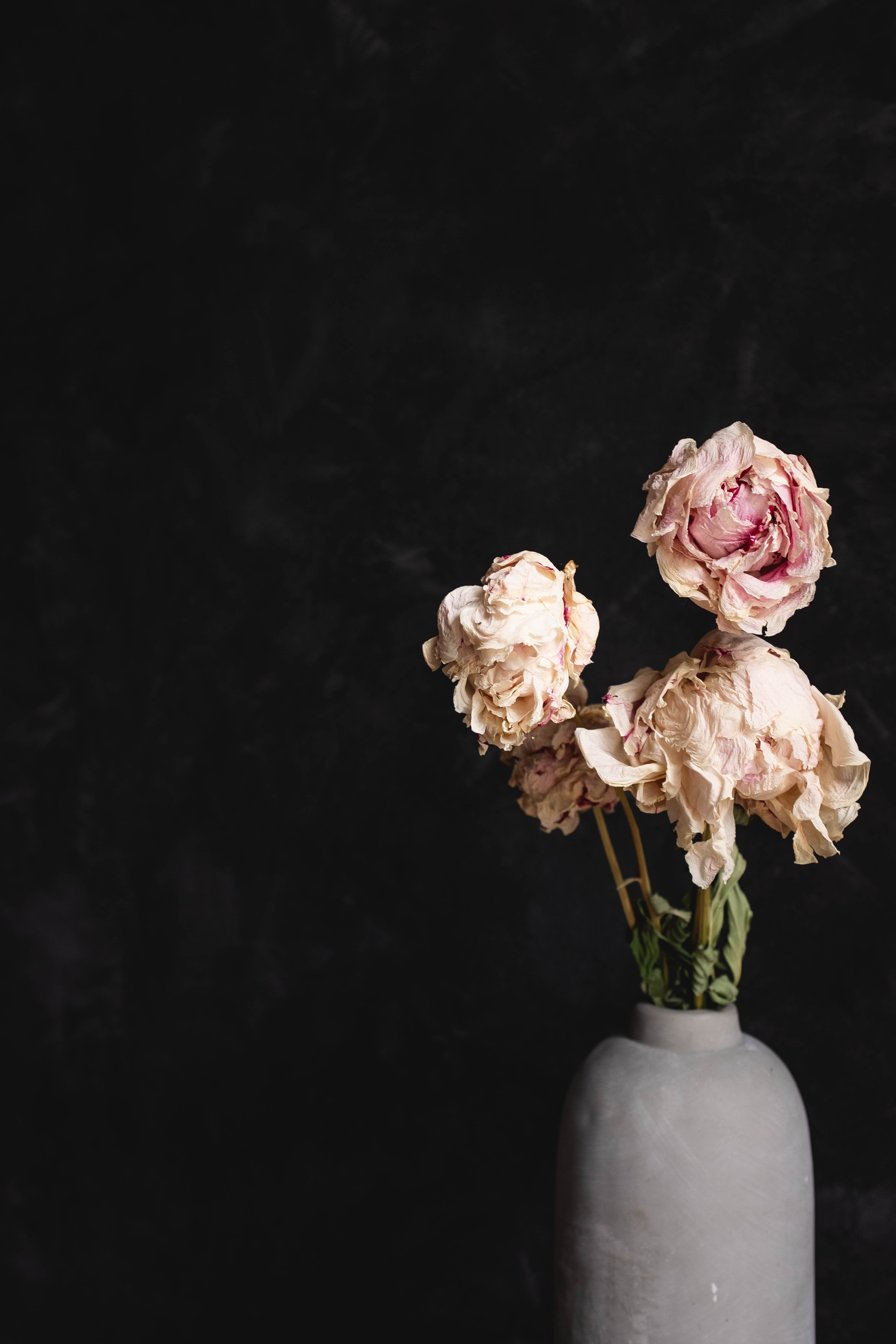 Handy-Wallpaper Trocken, Vase, Blumen, Bouquet, Strauß, Roses kostenlos herunterladen.