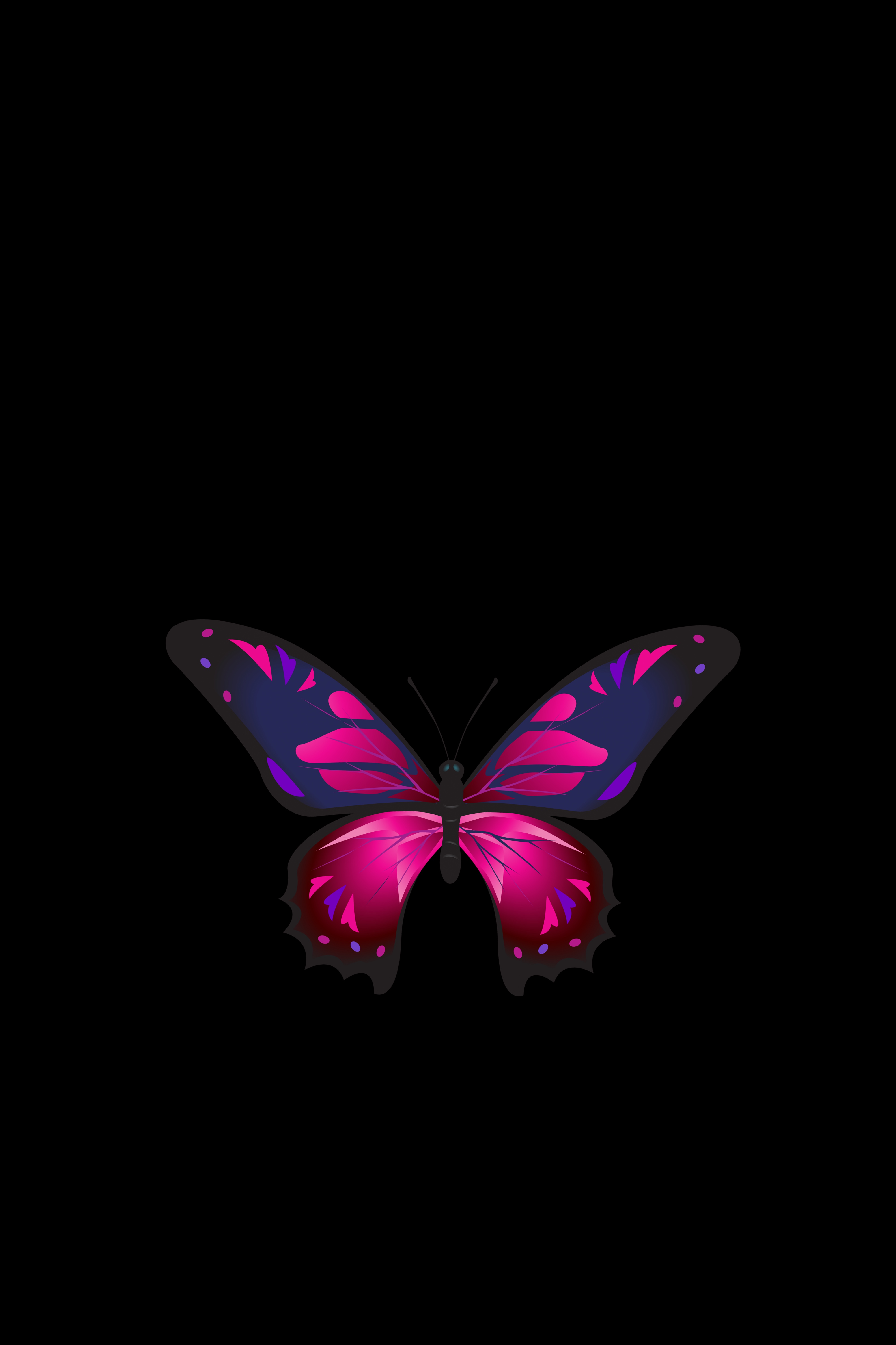 Free download wallpaper Dark Background, Wings, Dark, Butterfly, Patterns on your PC desktop
