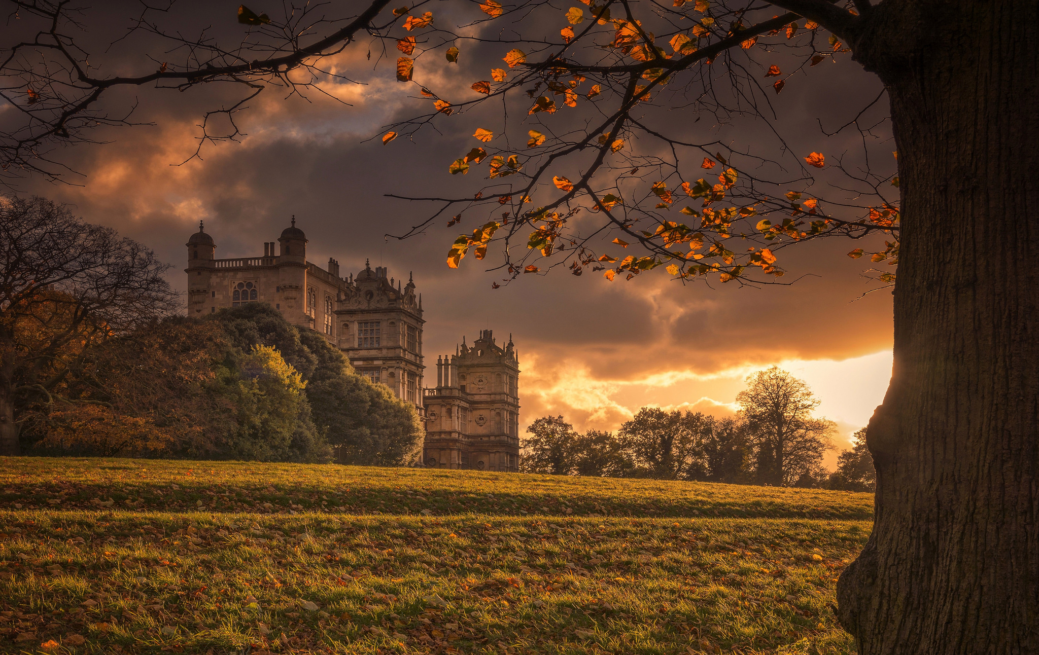 Download mobile wallpaper Castles, England, Man Made, Castle, Wollaton Park for free.