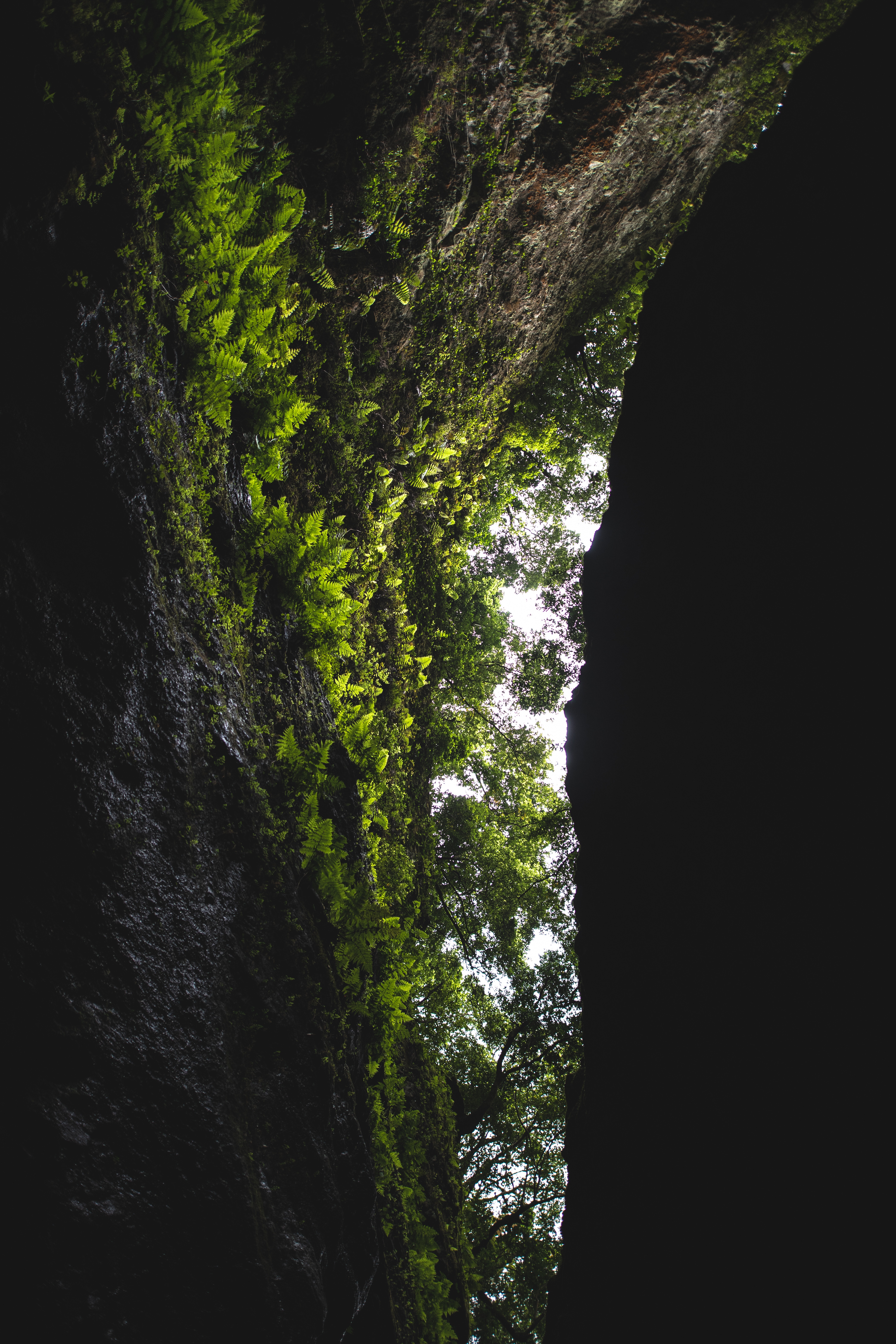Download mobile wallpaper Rock, Trees, Vegetation, Fern, Nature, Cave, Dark for free.