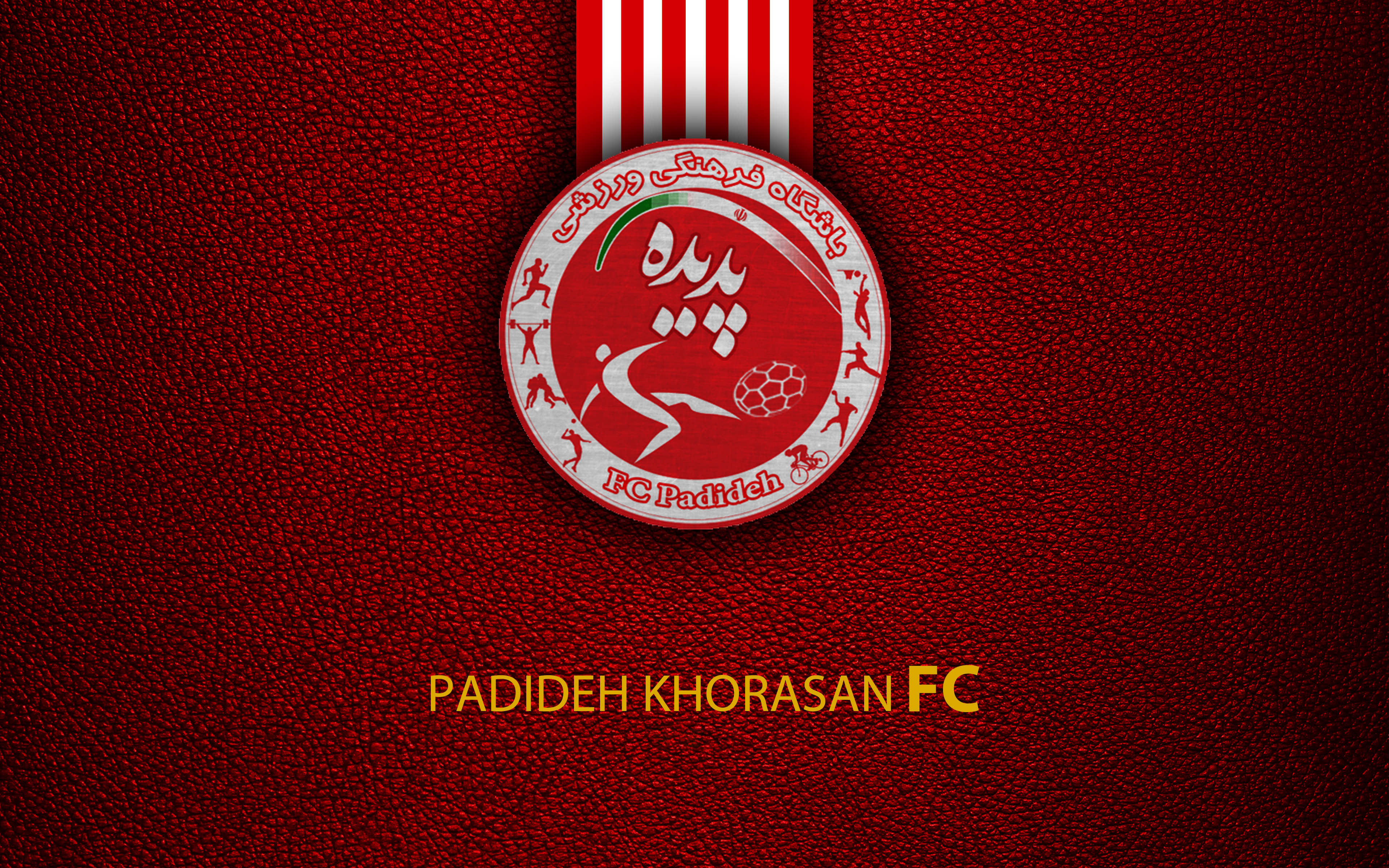 Free download wallpaper Sports, Logo, Emblem, Soccer, Padideh F C on your PC desktop
