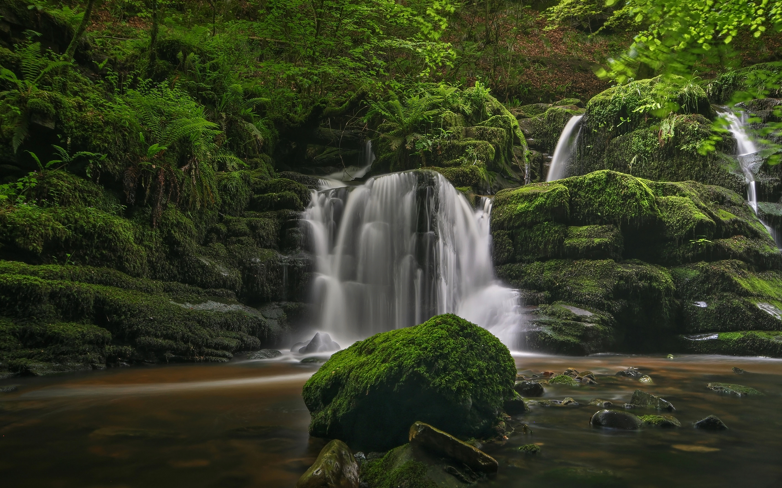 Download mobile wallpaper Waterfalls, Waterfall, Forest, Earth, Moss for free.