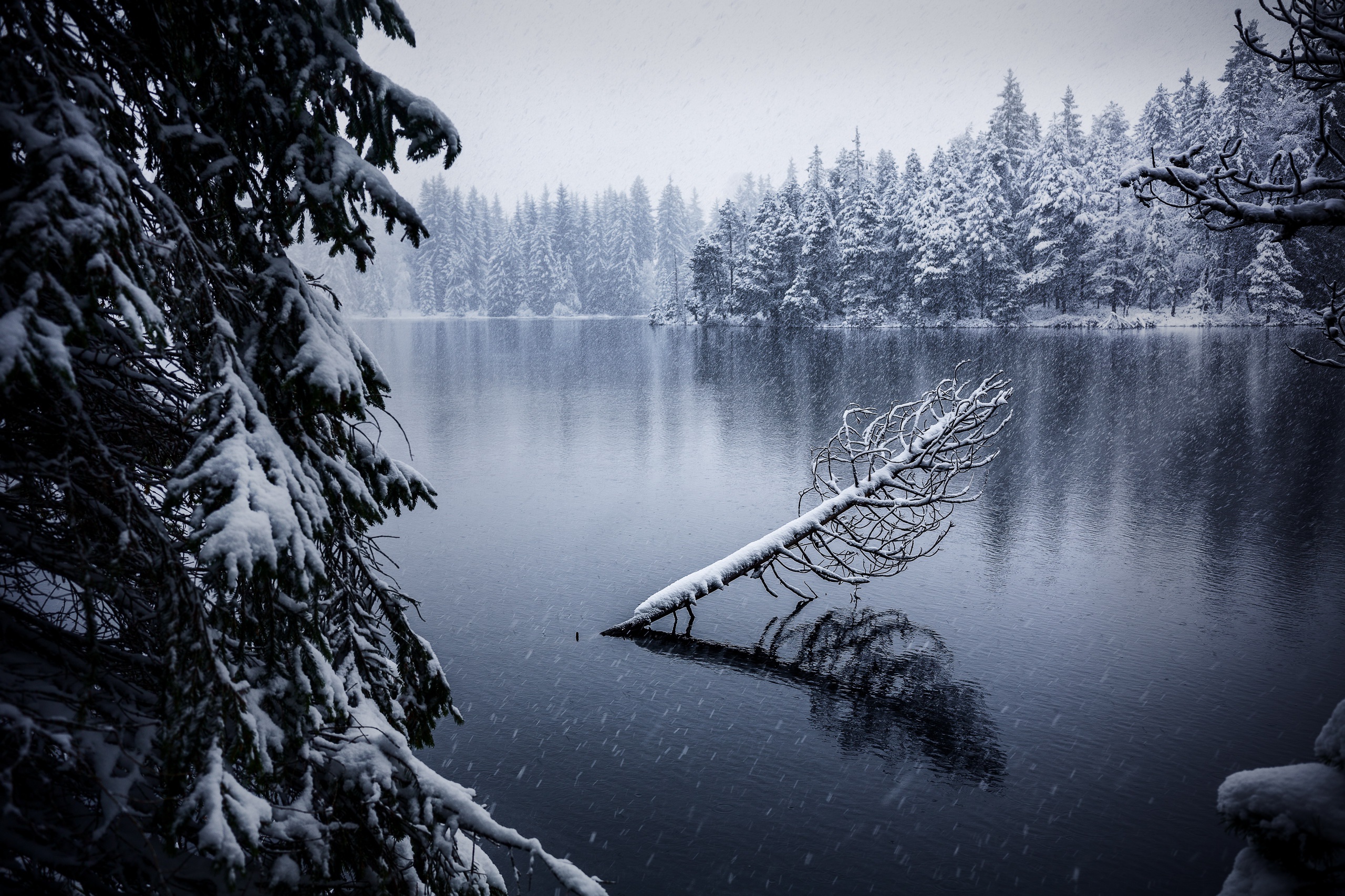Скачать обои бесплатно Зима, Природа, Снег, Озеро, Снегопад, Земля/природа картинка на рабочий стол ПК