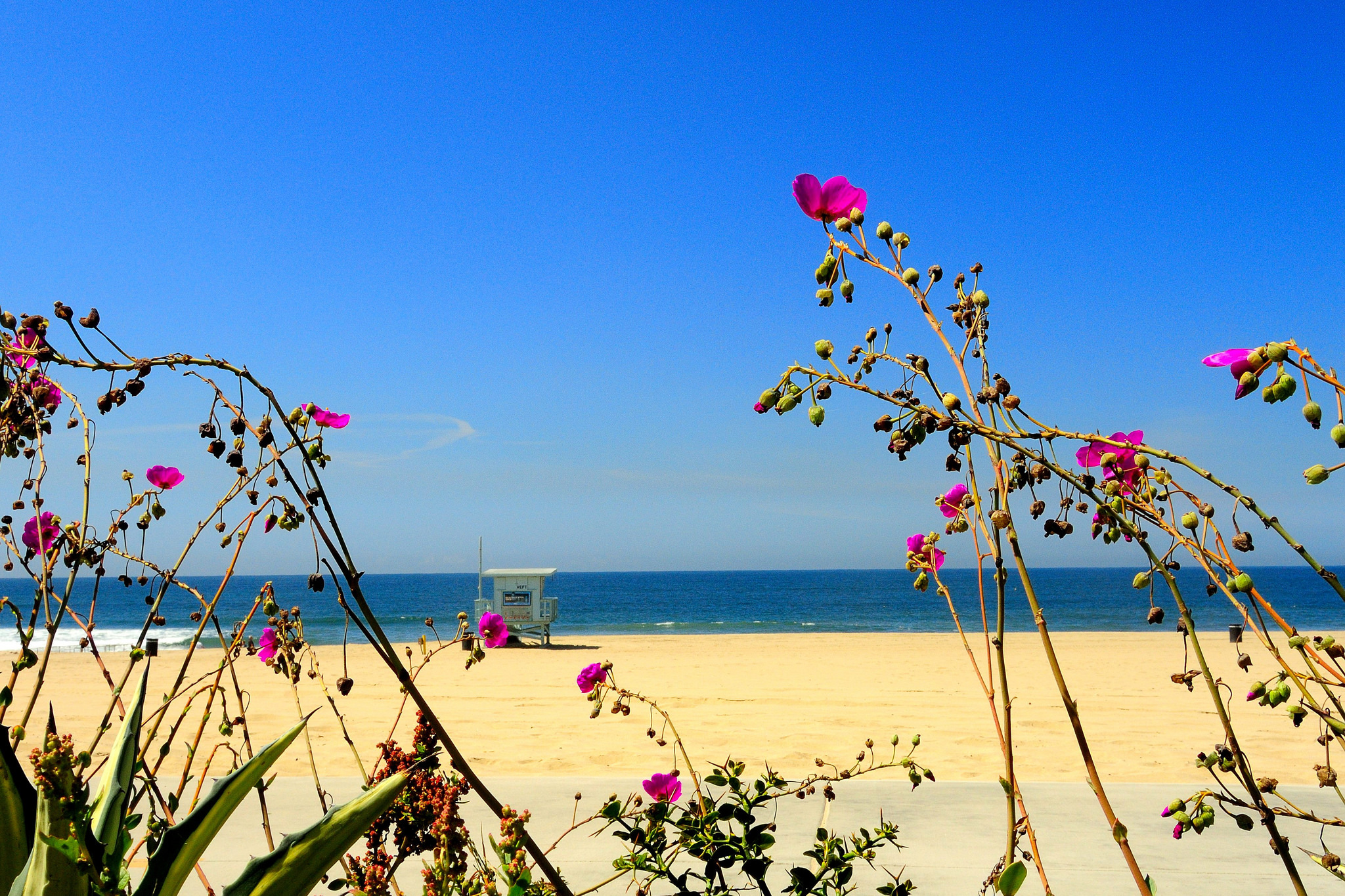 Descarga gratuita de fondo de pantalla para móvil de Playa, Tierra/naturaleza.