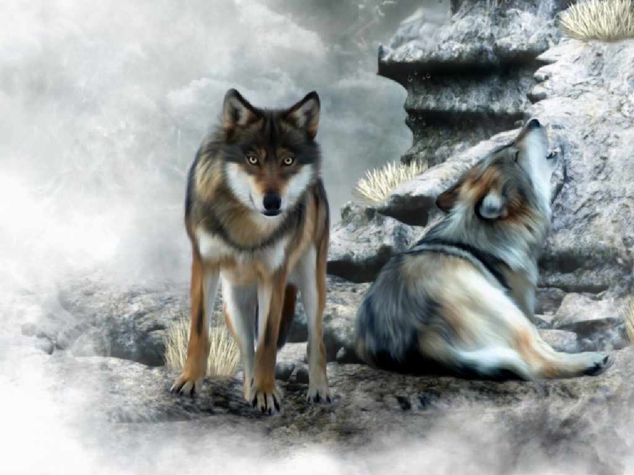 Free download wallpaper Wolf, Animal on your PC desktop