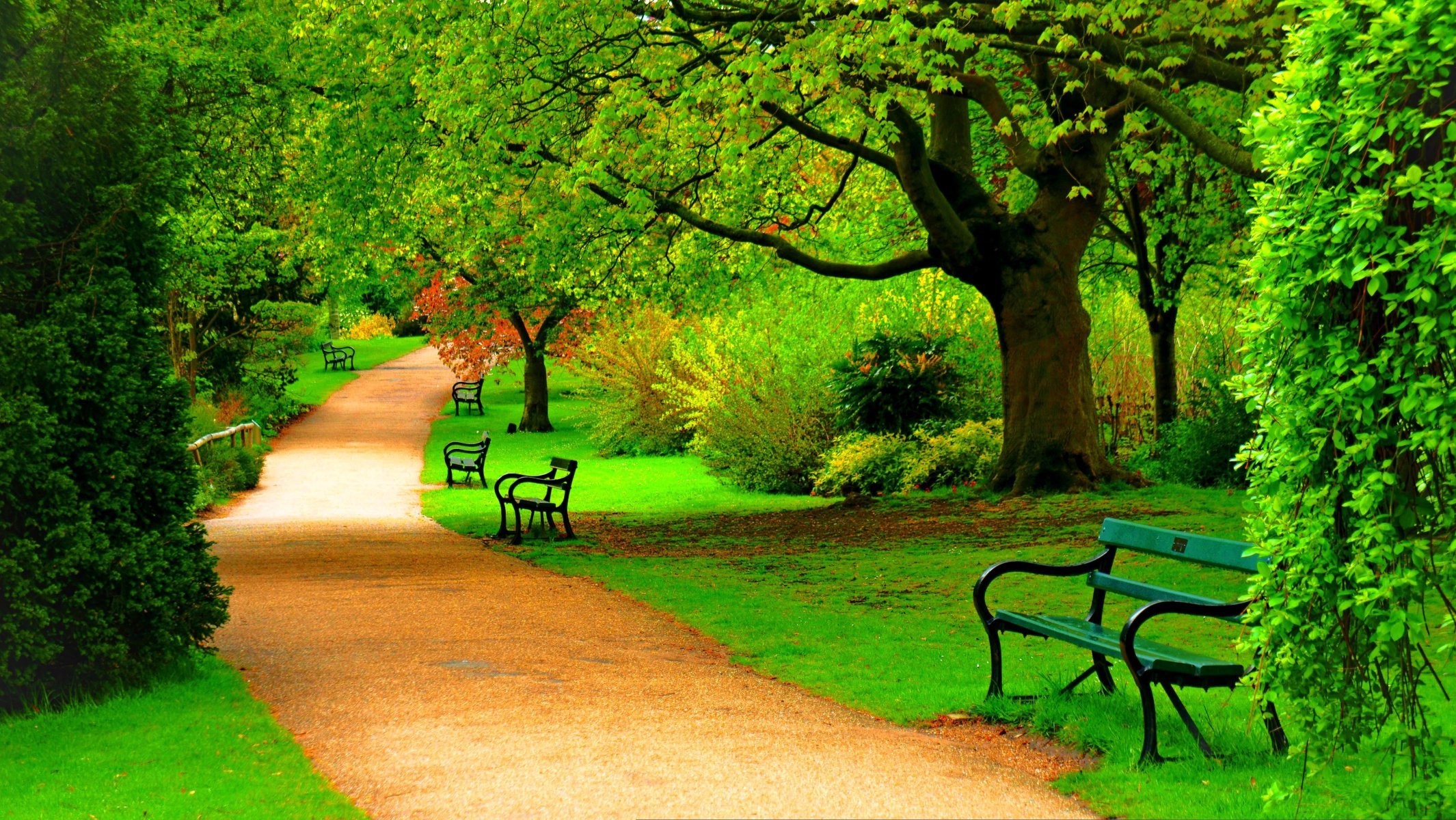 Download mobile wallpaper Park, Tree, Path, Bench, Spring, Photography for free.