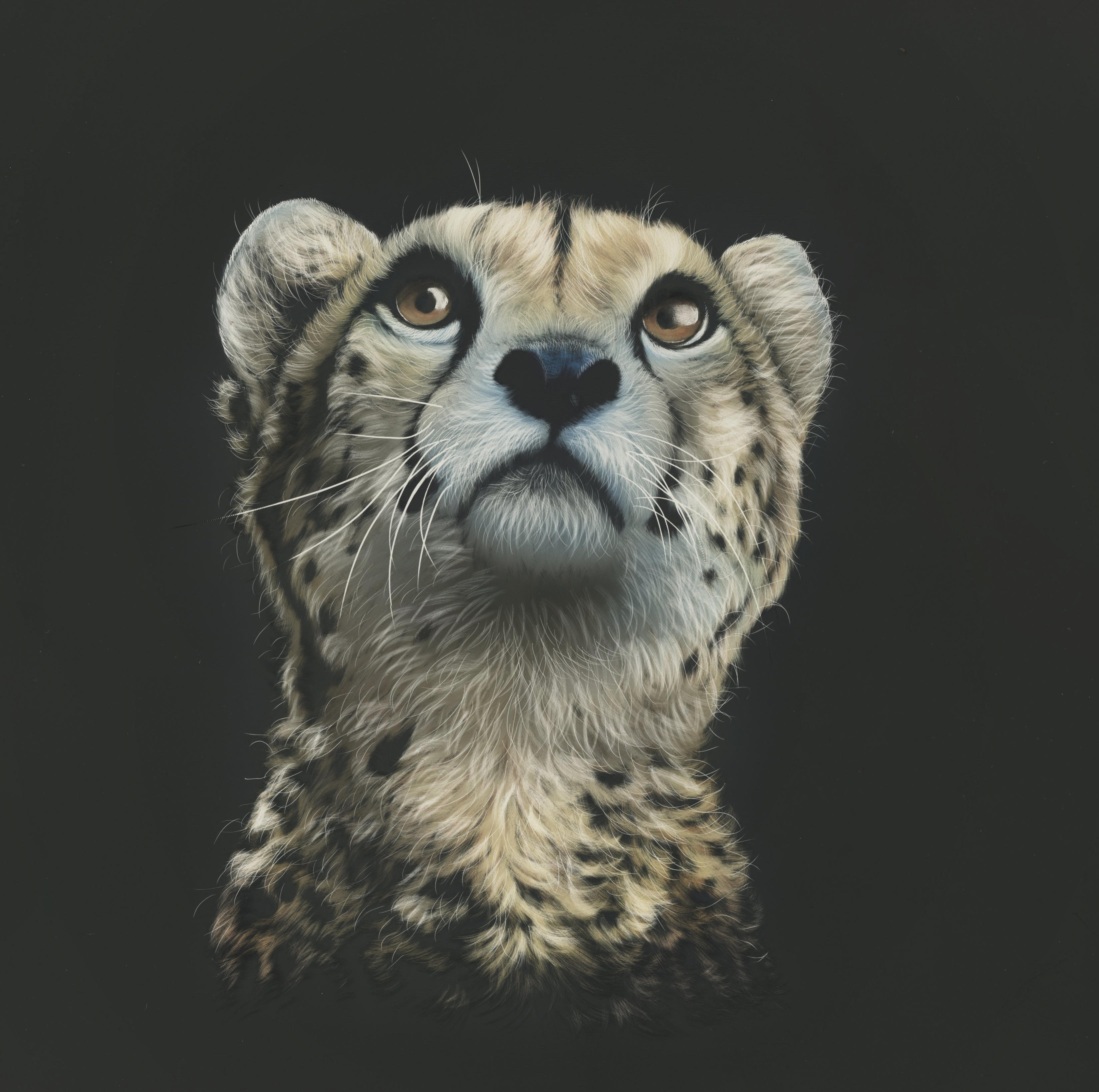 Descarga gratuita de fondo de pantalla para móvil de Leopardo, Visión, Opinión, Imagen, Guepardo, Depredador, Dibujo, Arte.