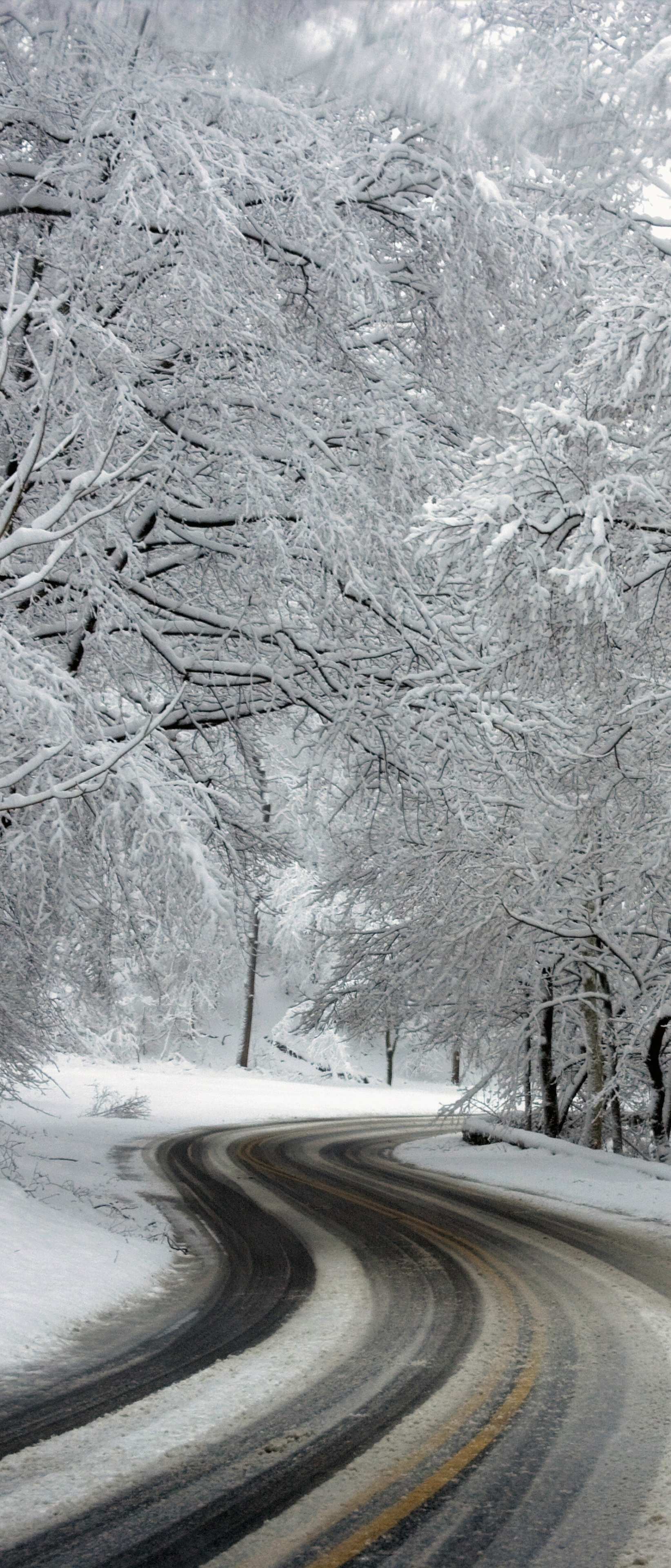 Baixar papel de parede para celular de Inverno, Neve, Estrada, Floresta, Feito Pelo Homem gratuito.