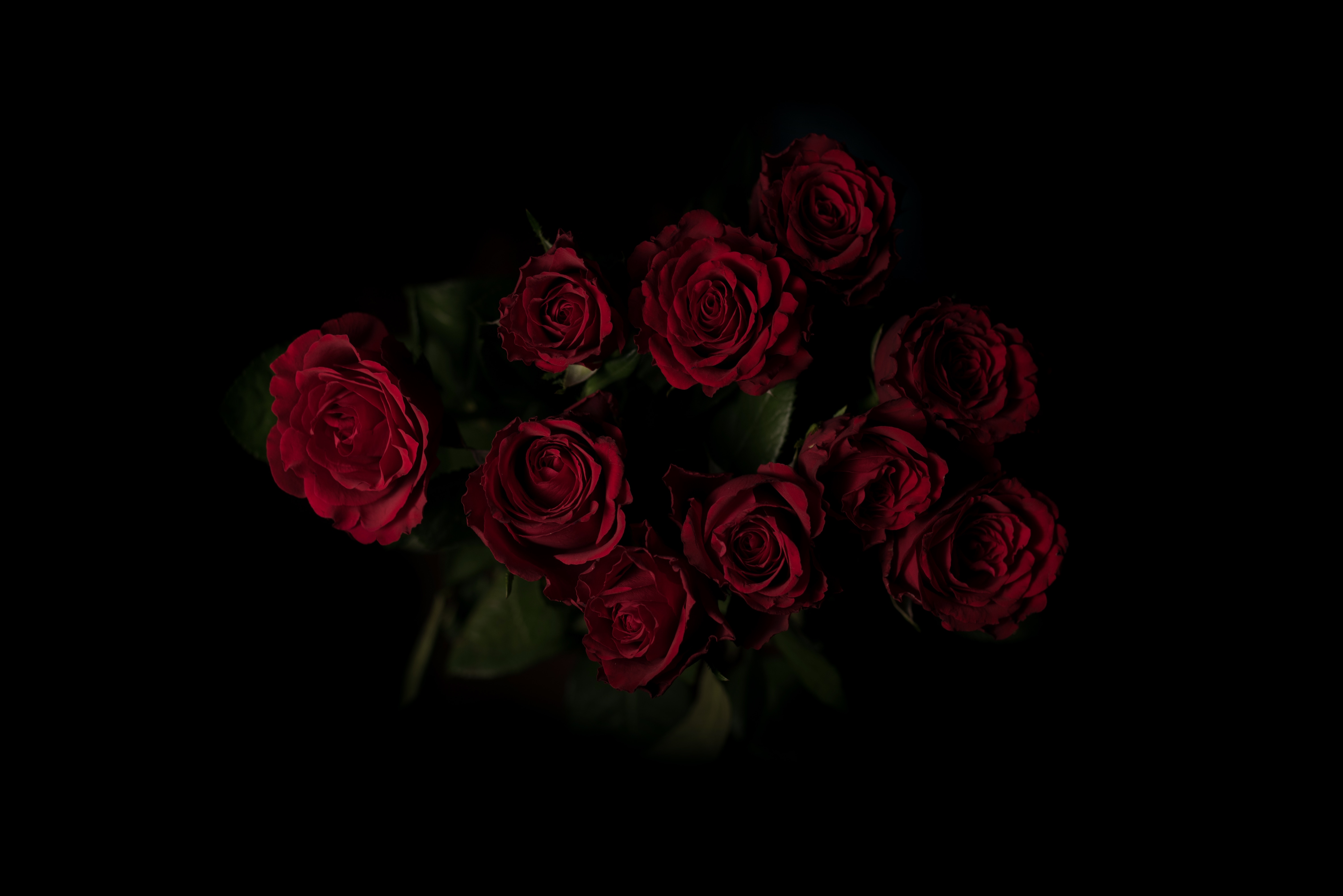 109641 Bild herunterladen blumen, roses, rot, dunkler hintergrund, dunkle hintergründe, strauß, bouquet - Hintergrundbilder und Bildschirmschoner kostenlos