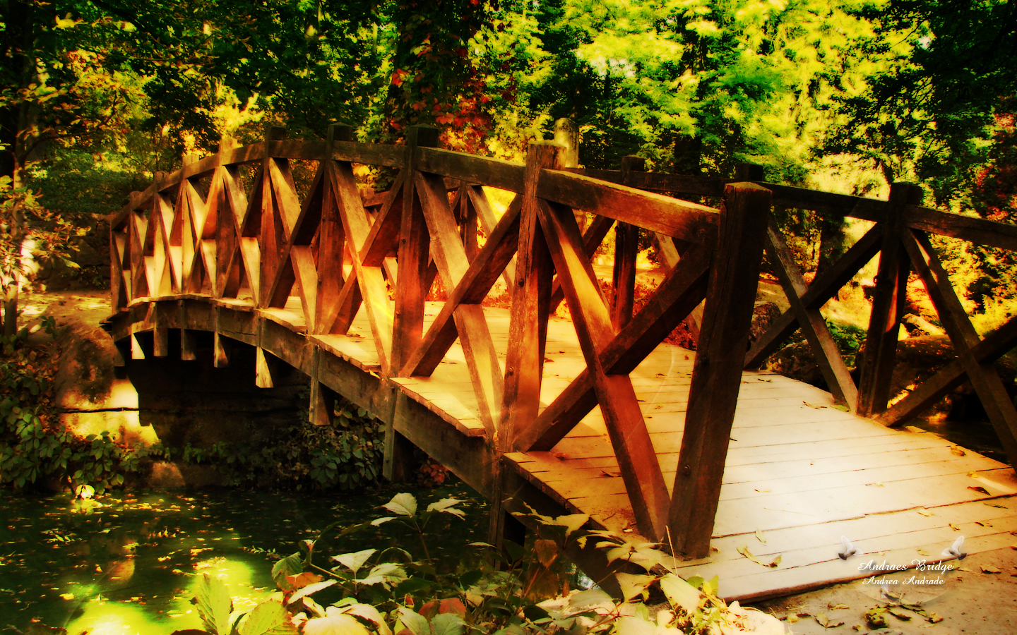 Free download wallpaper Bridge, Man Made on your PC desktop