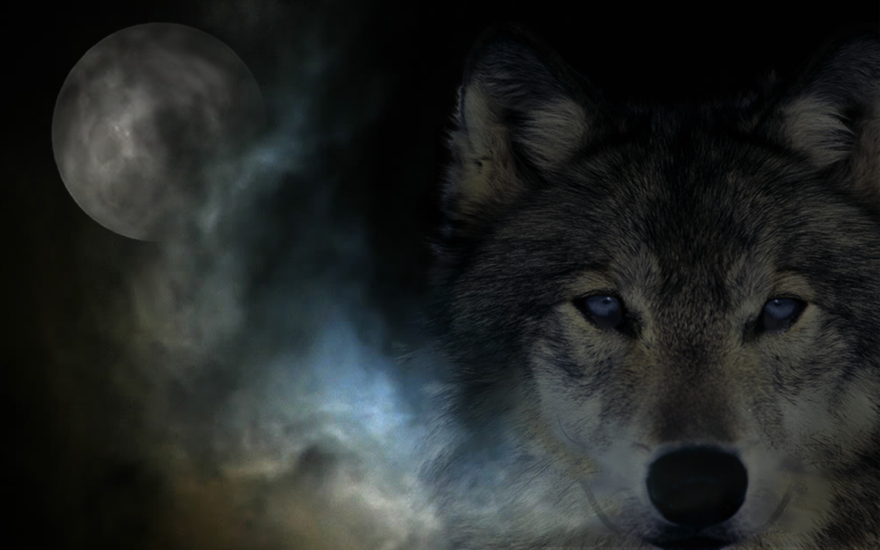 Laden Sie das Fantasie, Wolf-Bild kostenlos auf Ihren PC-Desktop herunter