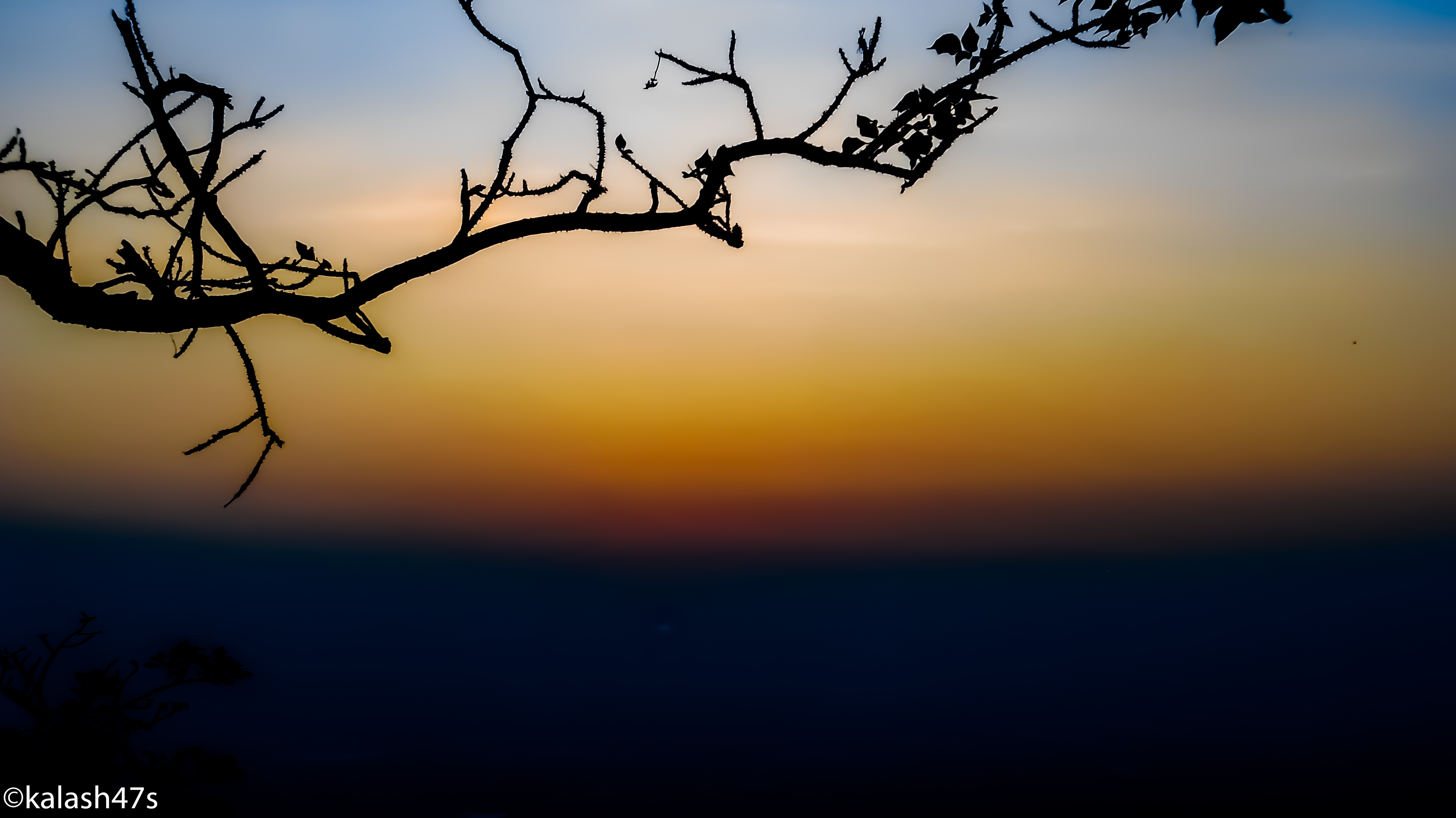 Téléchargez gratuitement l'image Coucher De Soleil, Arbre, Branche, Terre, Coloré, Photographie, La Nature, Lever De Soleil sur le bureau de votre PC