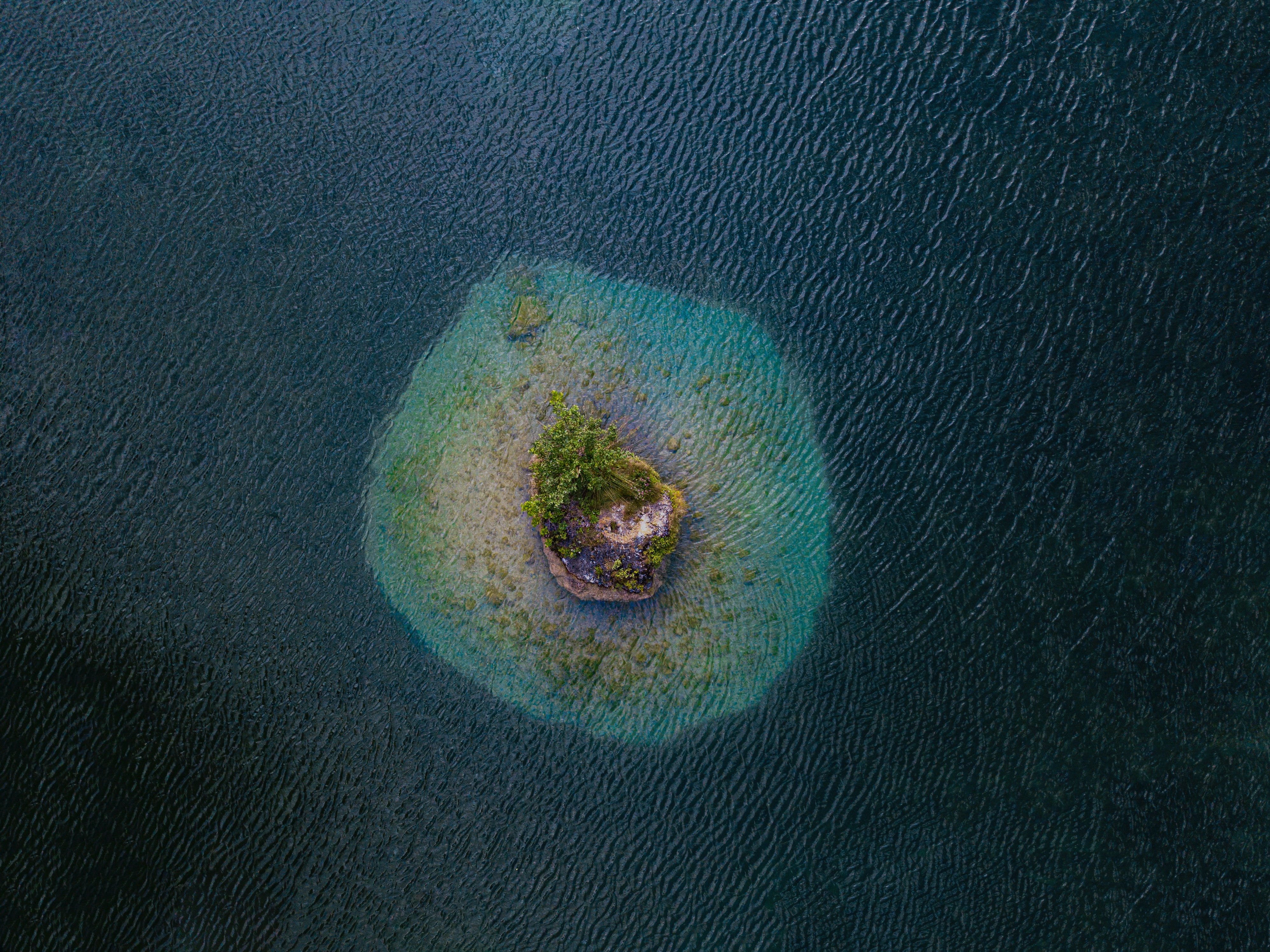 island, sea, nature, trees, view from above