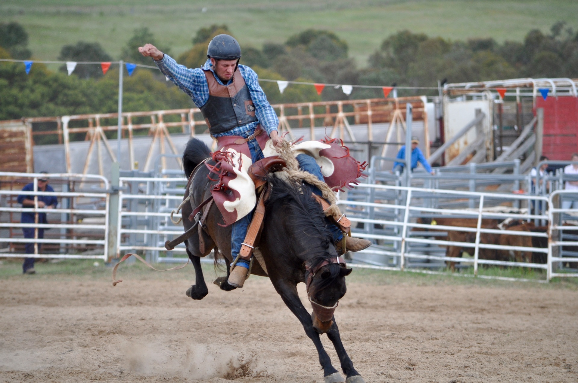 754555 Hintergrundbild herunterladen sport, rodeo, cowboy, hauspferd - Bildschirmschoner und Bilder kostenlos