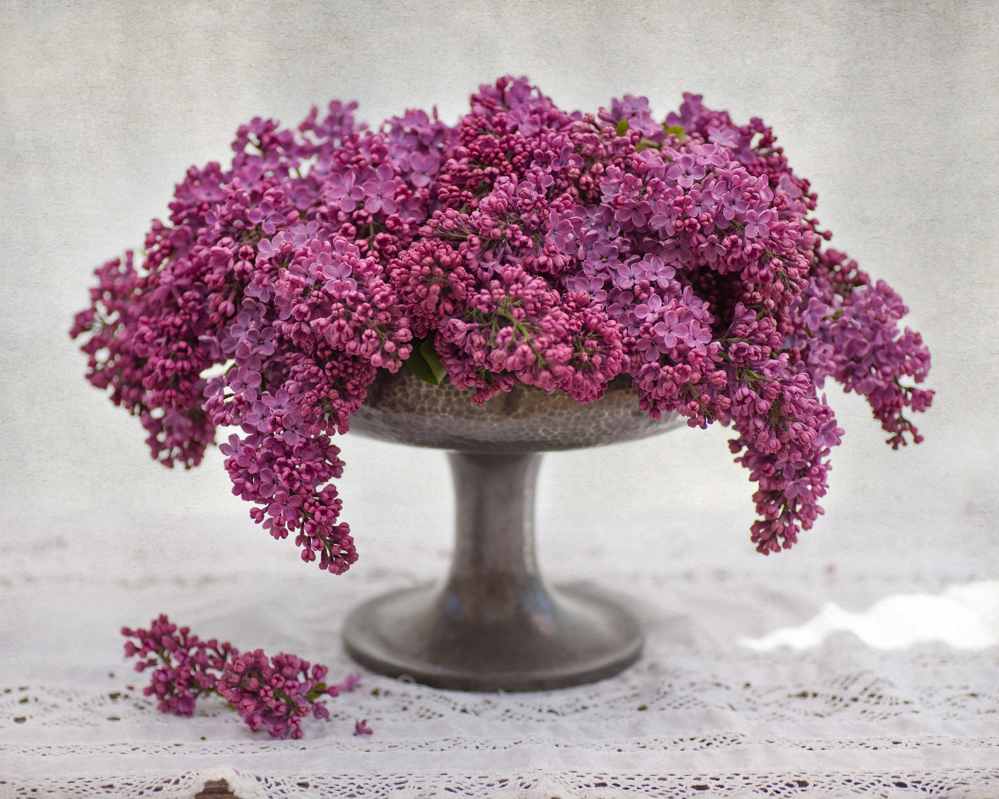 Download mobile wallpaper Lilac, Still Life, Flower, Vase, Purple Flower, Man Made for free.