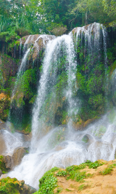 Handy-Wallpaper Wasserfälle, Wasserfall, Wald, Erde, Tropisch, Erde/natur kostenlos herunterladen.