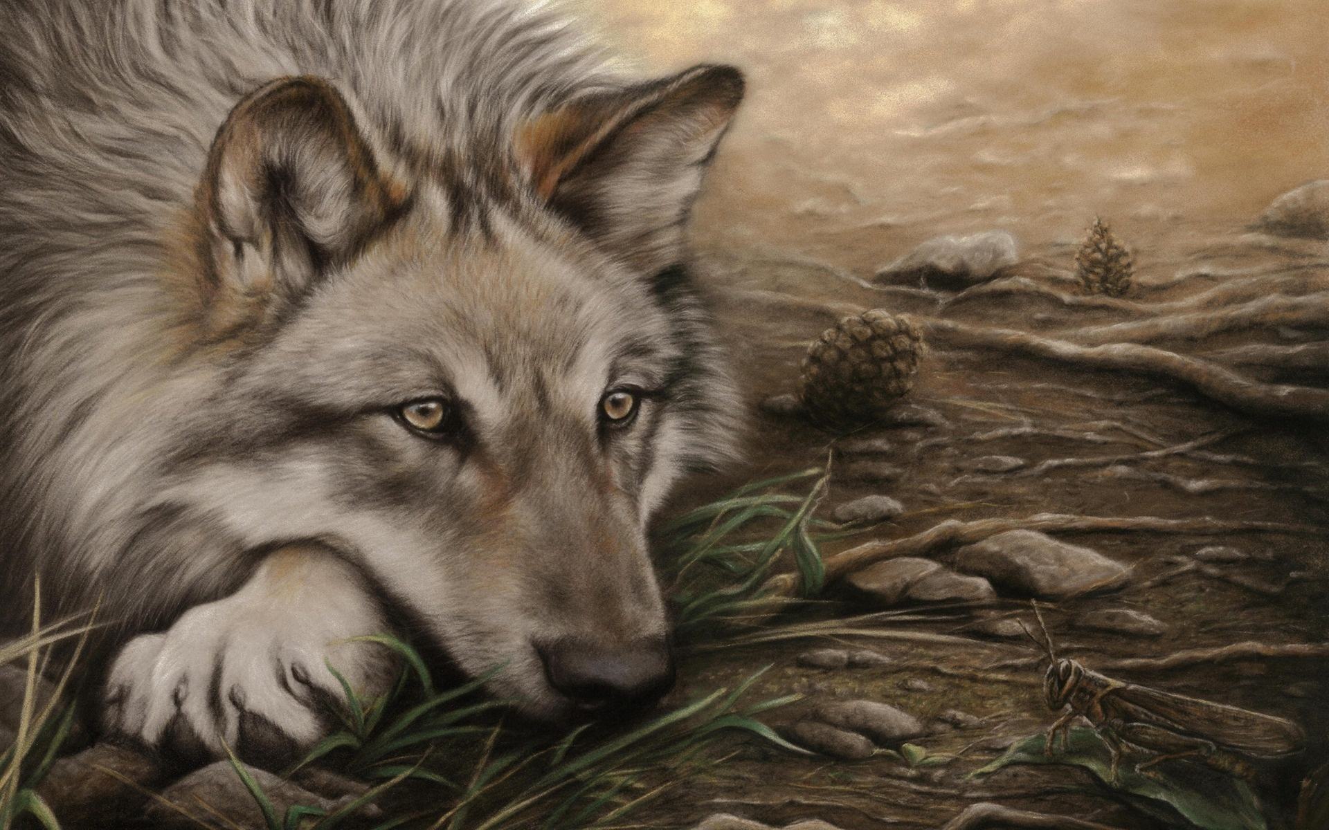 Free download wallpaper Animals, Wolfs, Pictures on your PC desktop