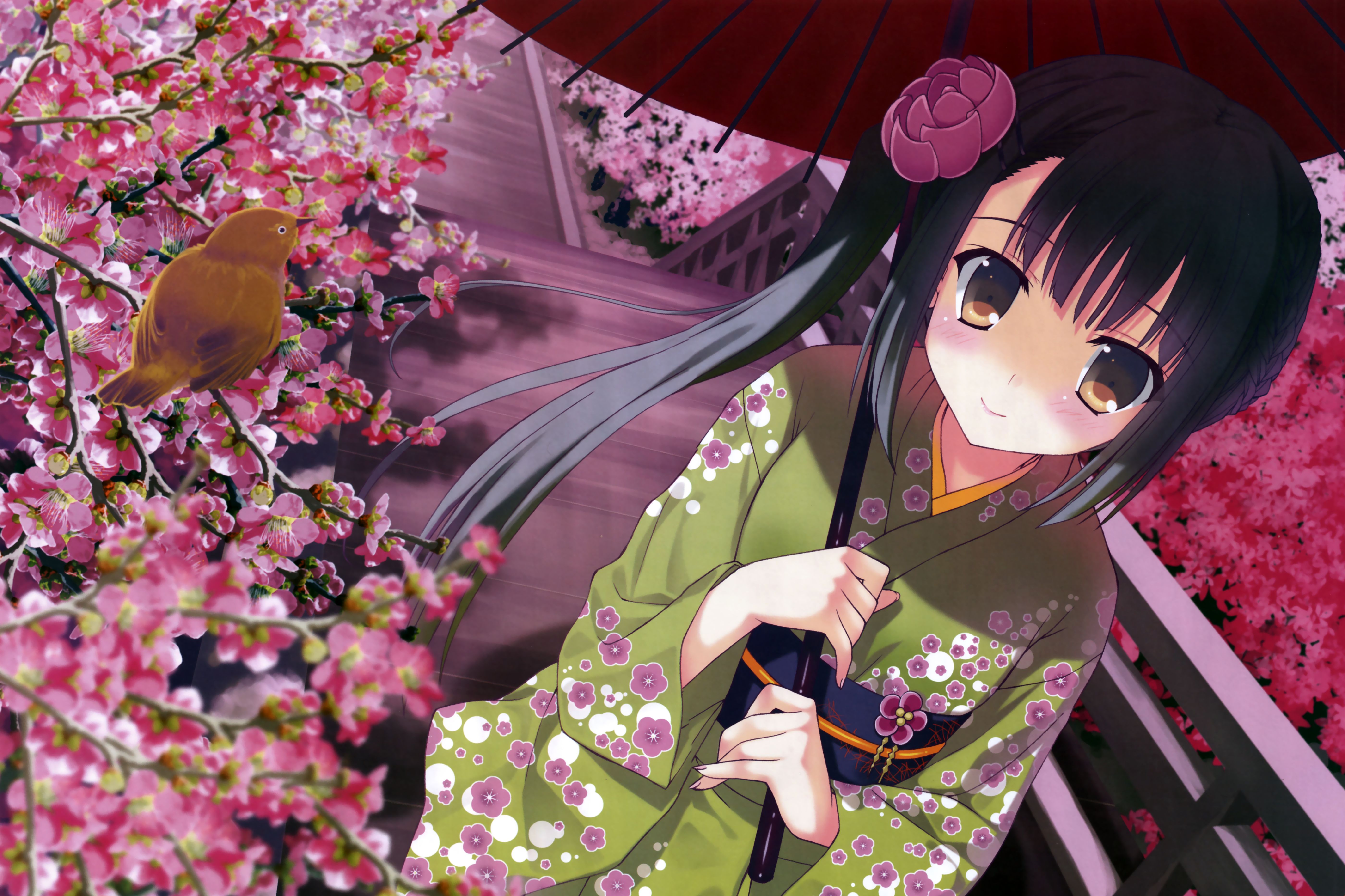 1529373 télécharger l'image cheveux longs, animé, original, oiseau, cheveux noirs, fleur de cerisier, kimono, parasol - fonds d'écran et économiseurs d'écran gratuits