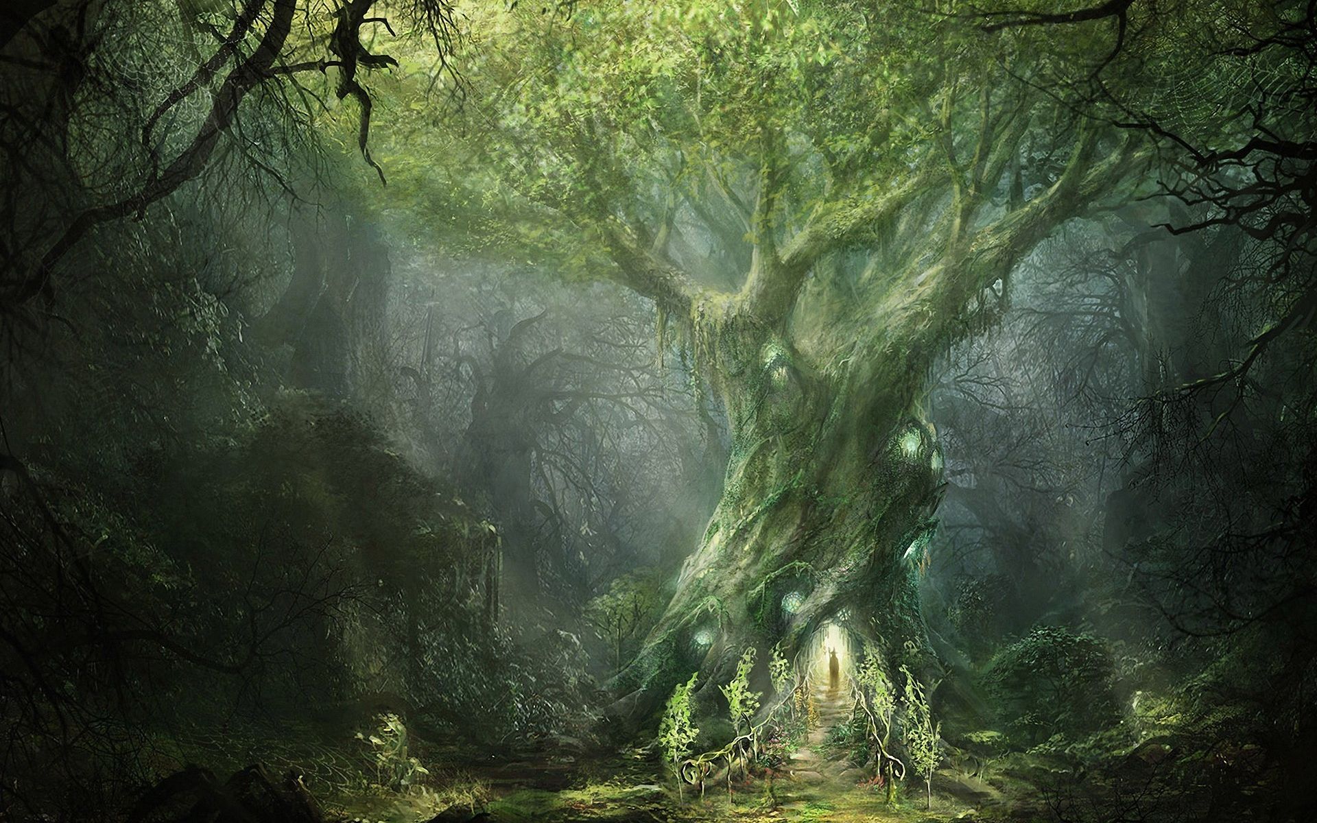 Free download wallpaper Fantasy, Forest on your PC desktop