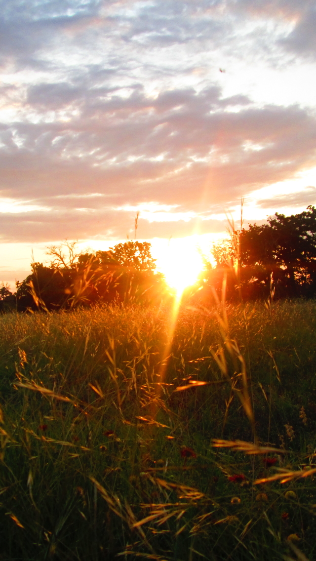 Download mobile wallpaper Grass, Sunrise, Earth, Cloud, Sunbeam, Sunbean for free.