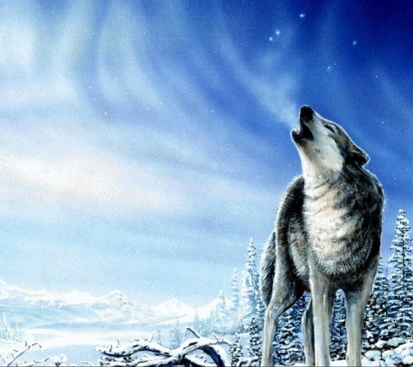 Download mobile wallpaper Wolf, Animal, Wolves for free.