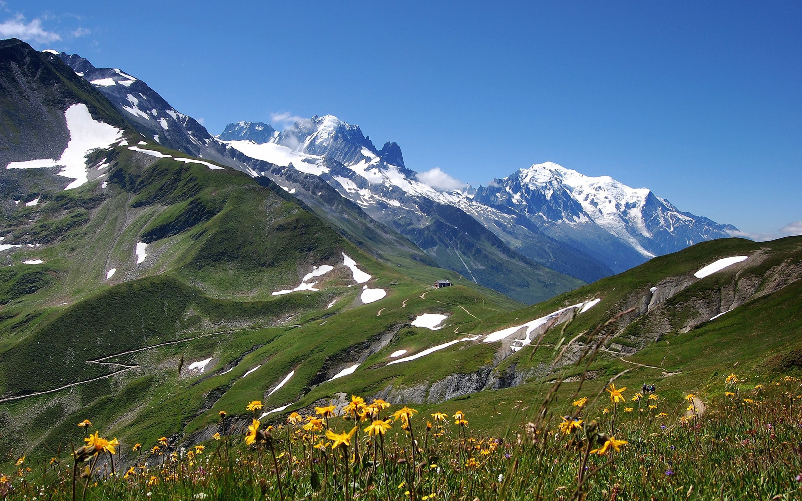 PCデスクトップに自然, 草, スカイ, 山脈, トップス, 頂点, 雪, フラワーズ画像を無料でダウンロード