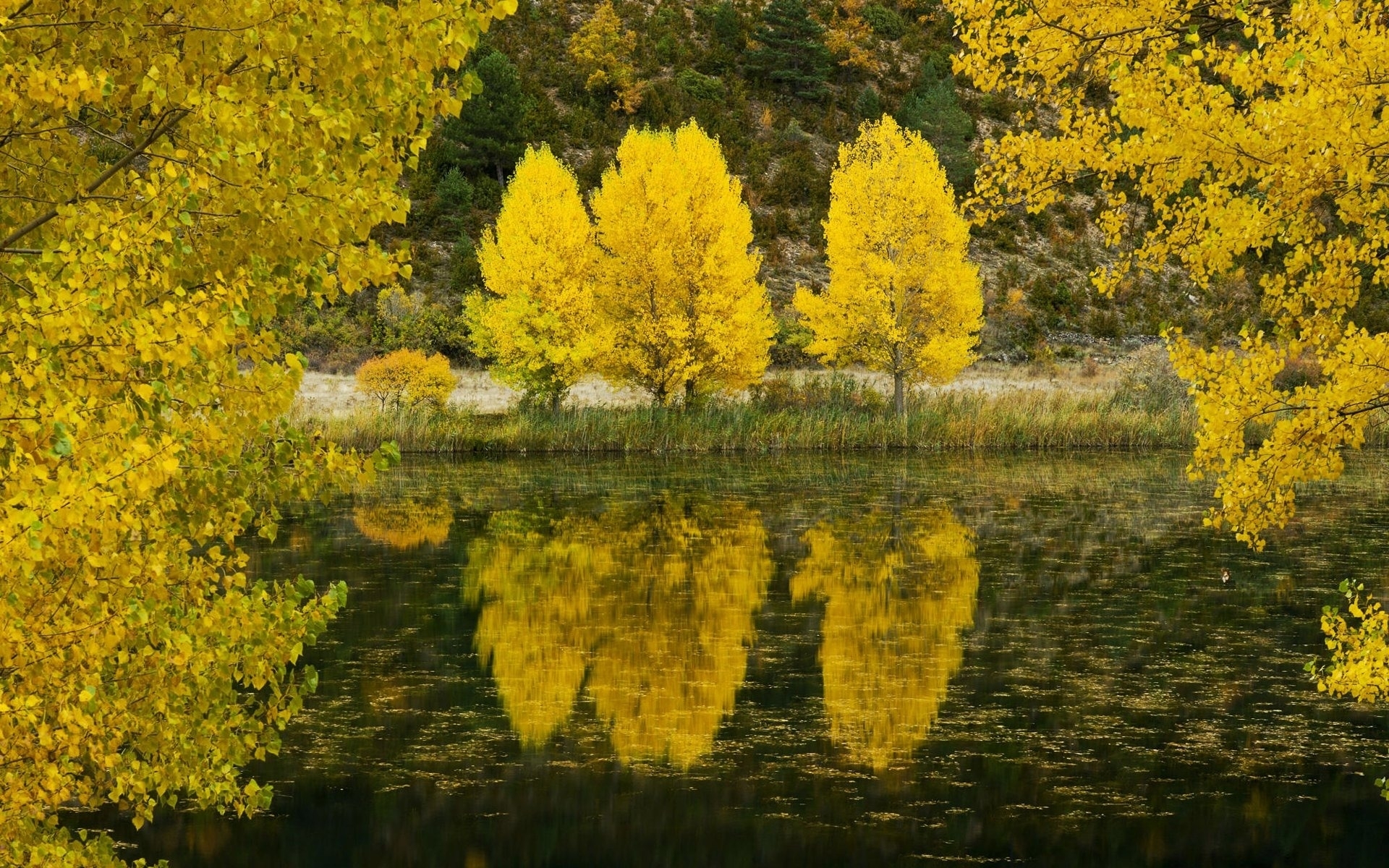Handy-Wallpaper Natur, Landschaft, Herbst kostenlos herunterladen.