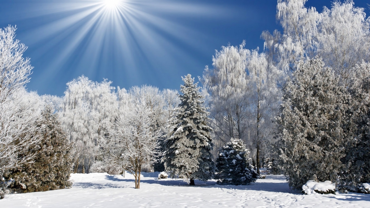 Download mobile wallpaper Winter, Snow, Landscape, Trees, Nature for free.