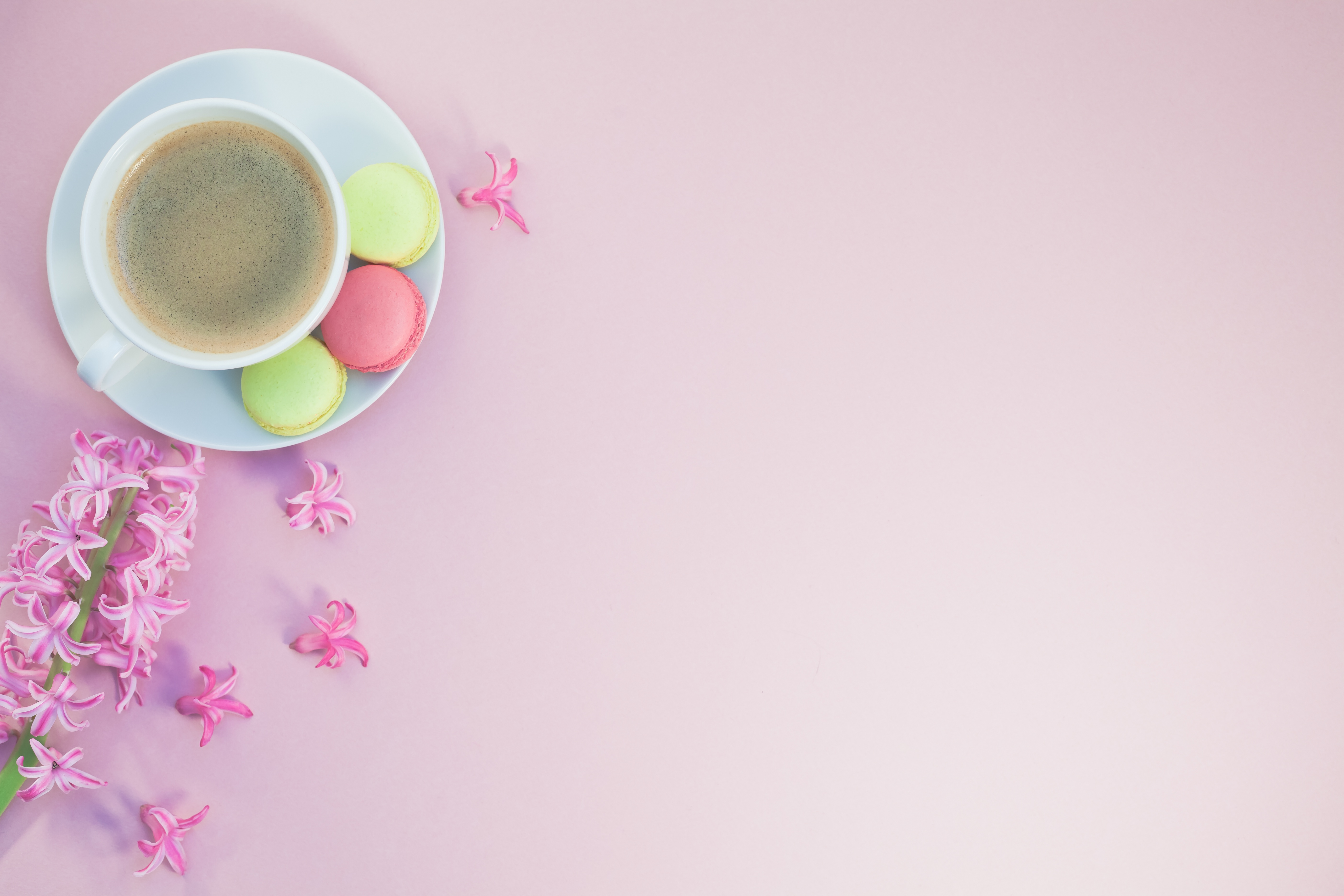 Download mobile wallpaper Food, Coffee, Still Life, Flower, Cup, Macaron, Pink Flower for free.