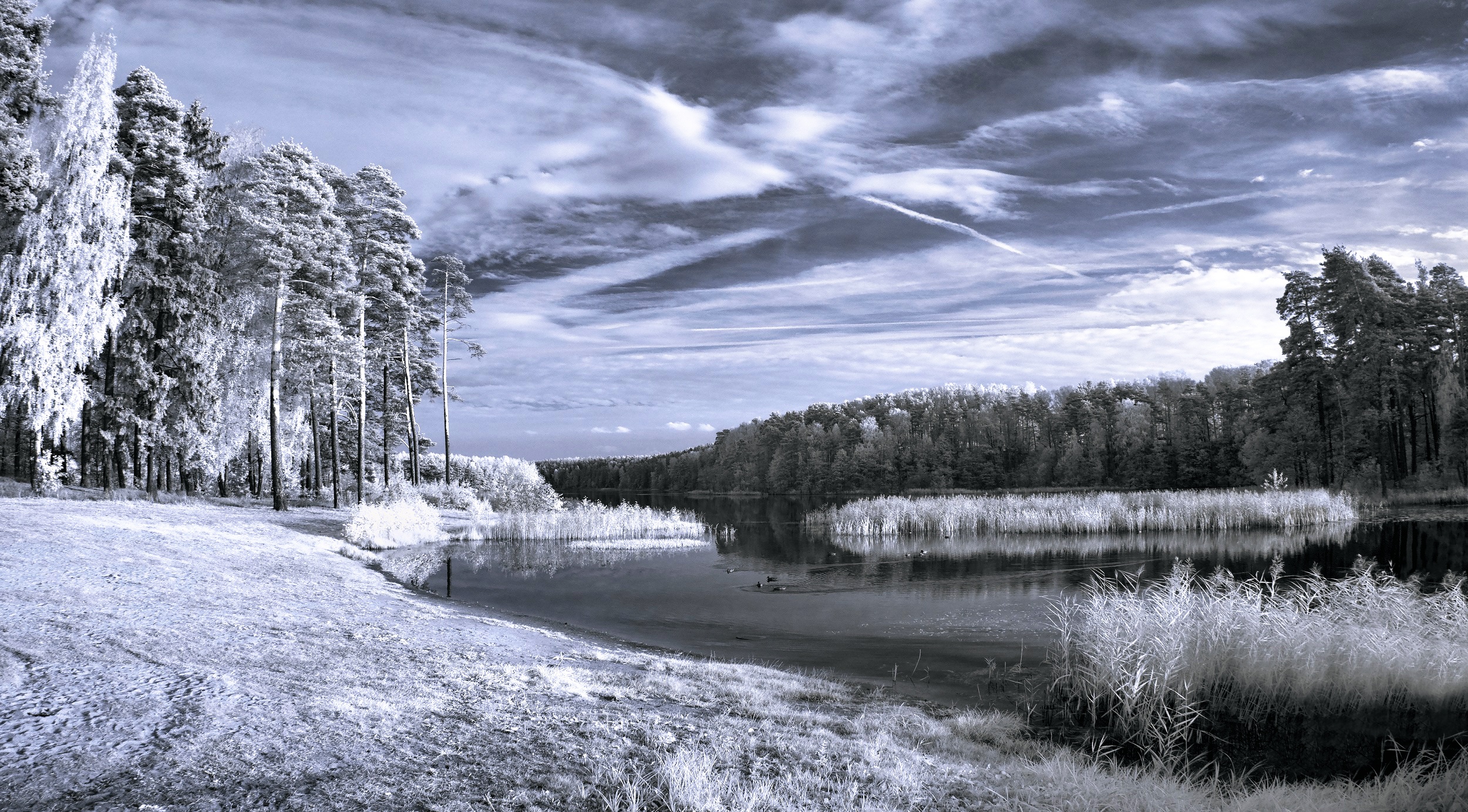 Free download wallpaper Winter, Nature, Tree, Earth, Cloud, River on your PC desktop