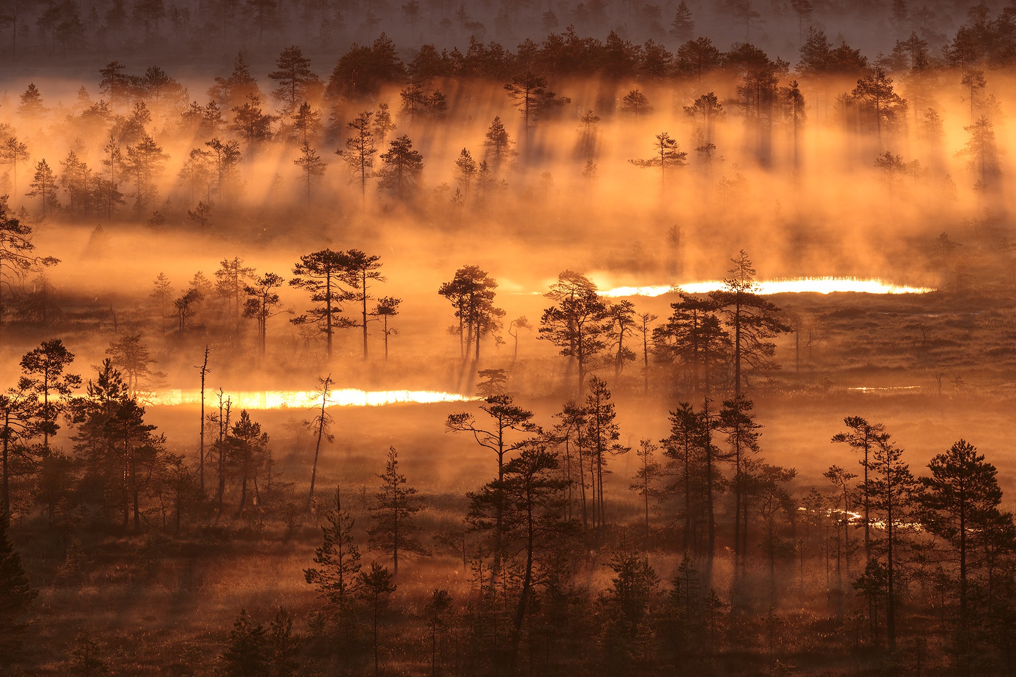 Download mobile wallpaper Landscape, Nature, Fog, Sunrise, Earth for free.