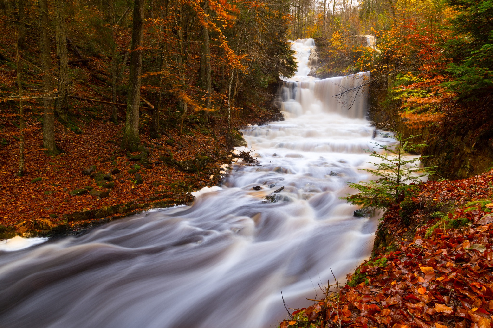 Download mobile wallpaper Nature, Waterfalls, Waterfall, Forest, Leaf, Fall, Earth, Foam, River for free.
