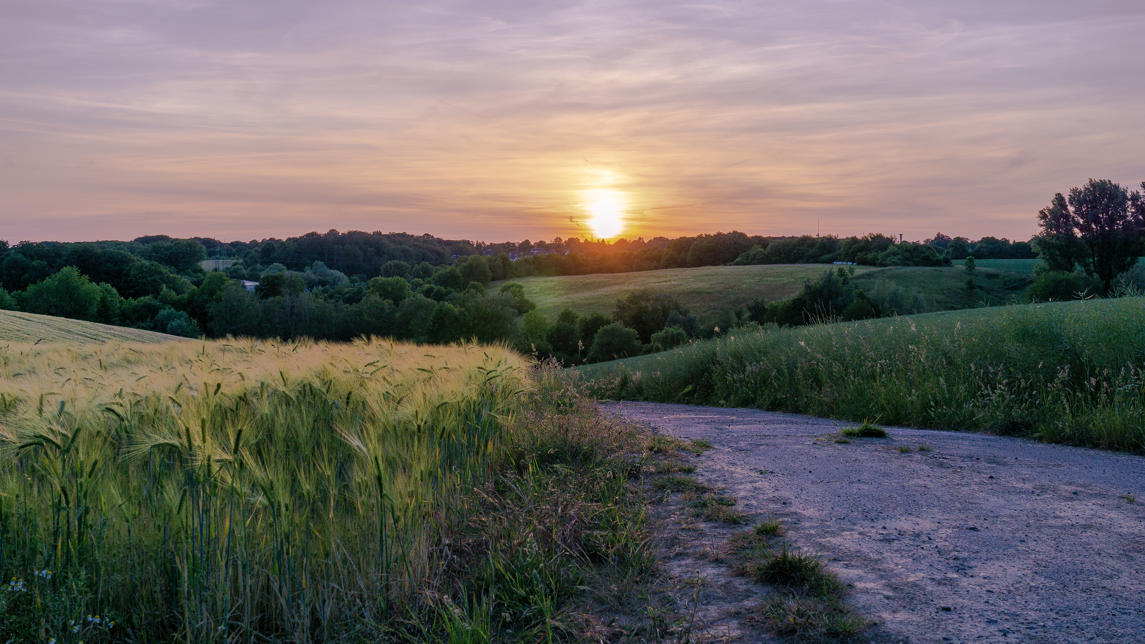 Download mobile wallpaper Sunset, Sky, Wheat, Road, Field, Photography for free.