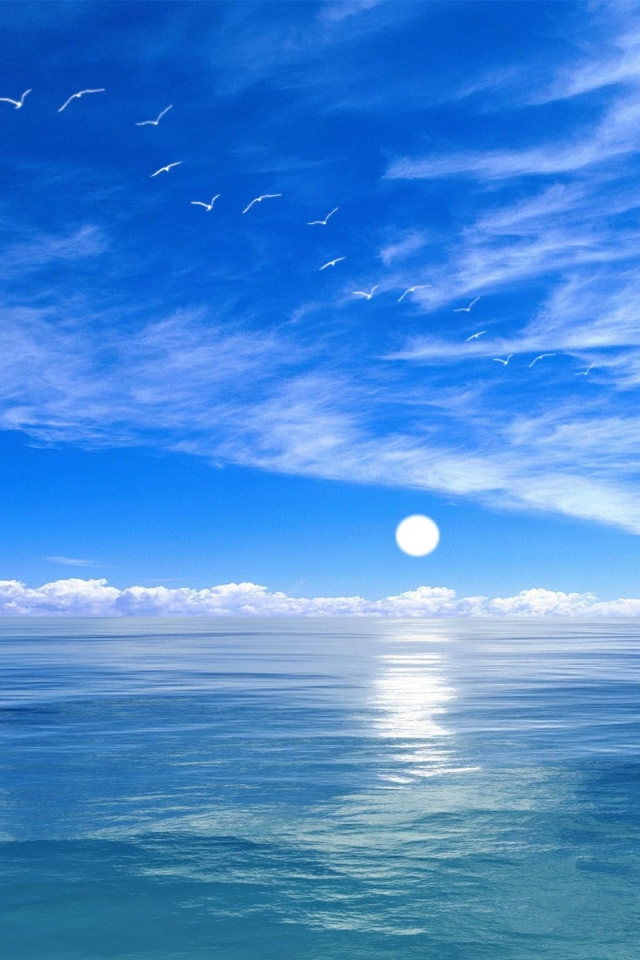 Download mobile wallpaper Sky, Sea, Moon, Horizon, Ocean, Earth, Seagull for free.