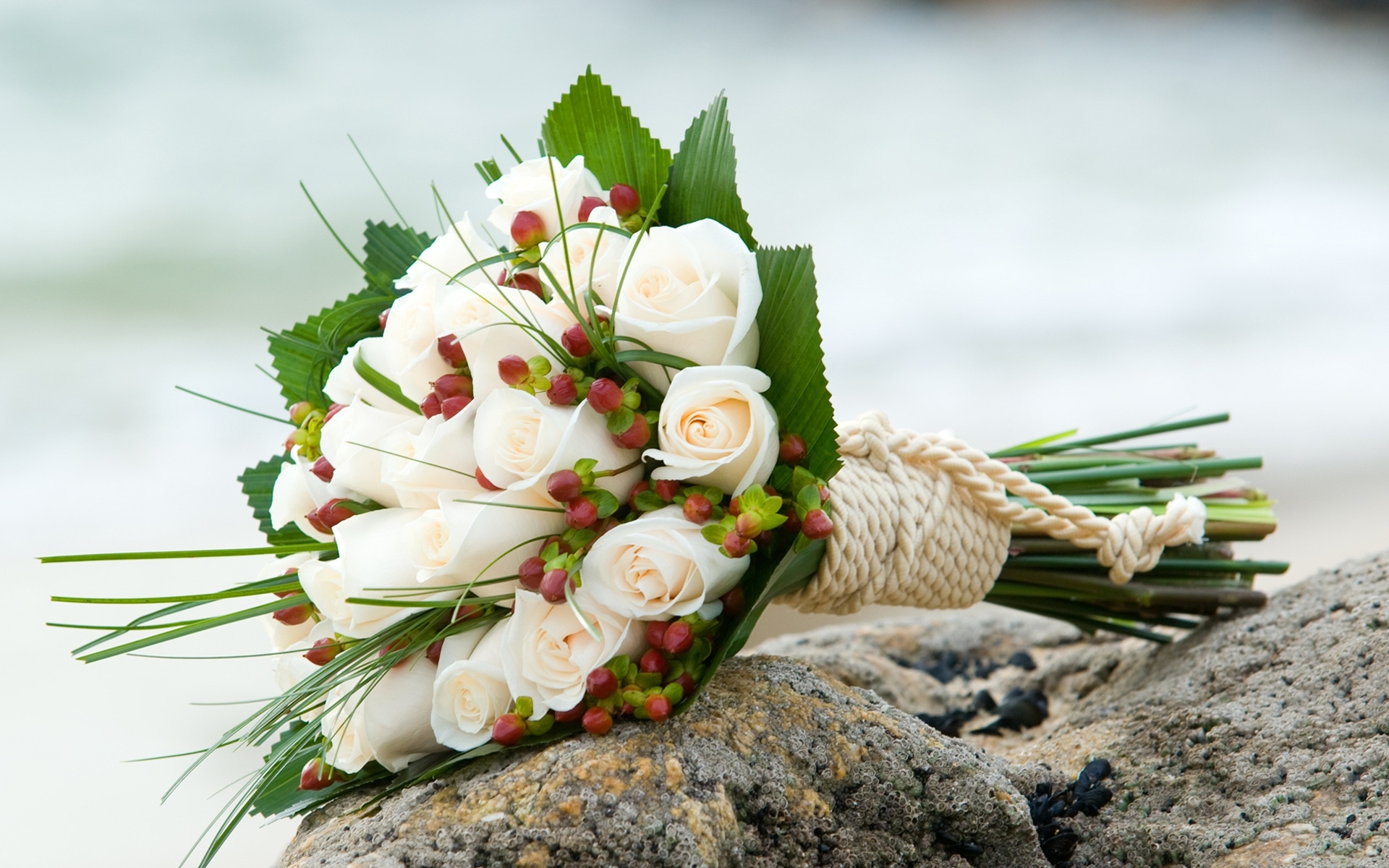 42690 Bild herunterladen pflanzen, blumen, bouquets - Hintergrundbilder und Bildschirmschoner kostenlos