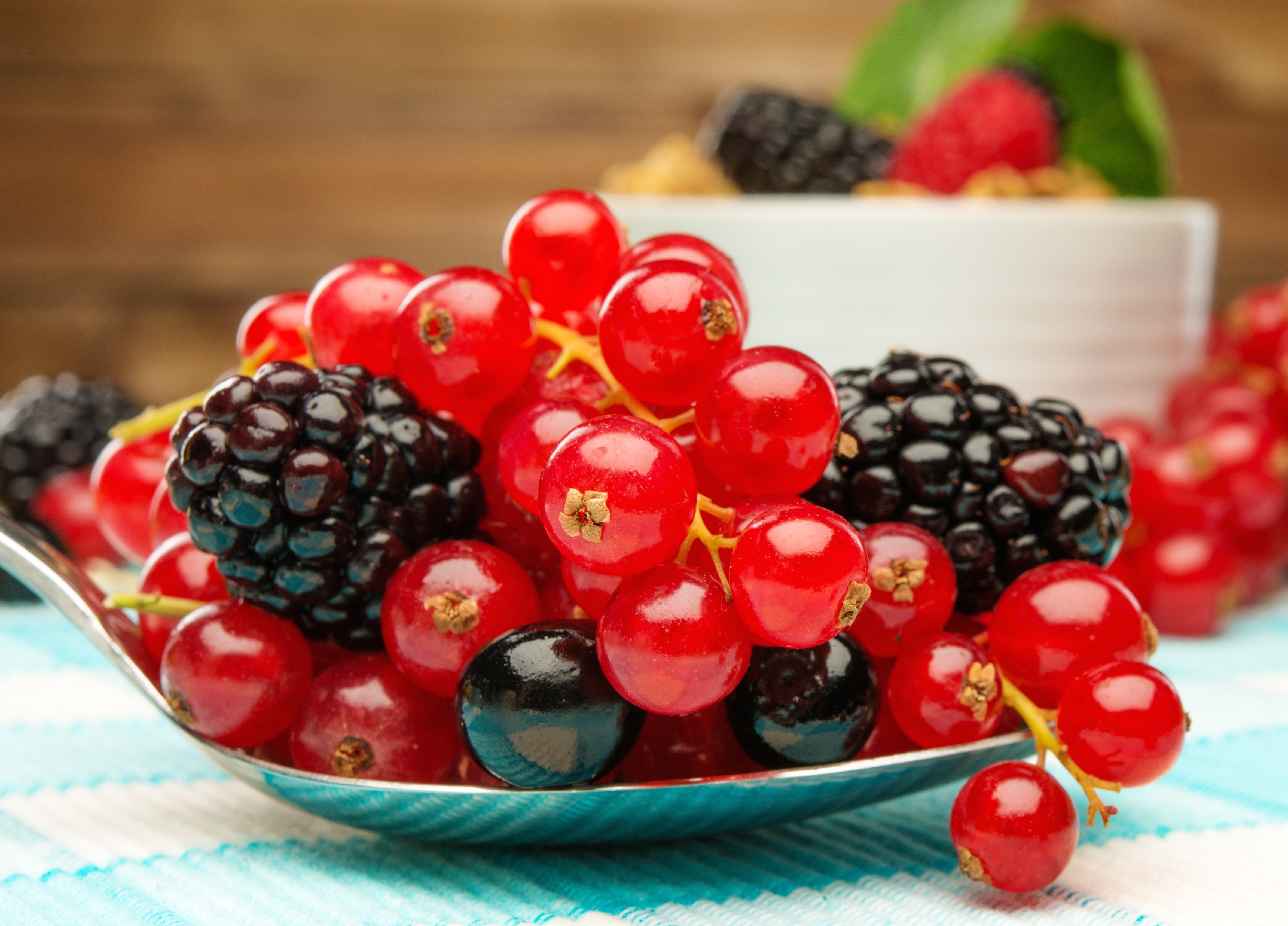 Free download wallpaper Food, Blackberry, Berry, Fruit, Currants on your PC desktop
