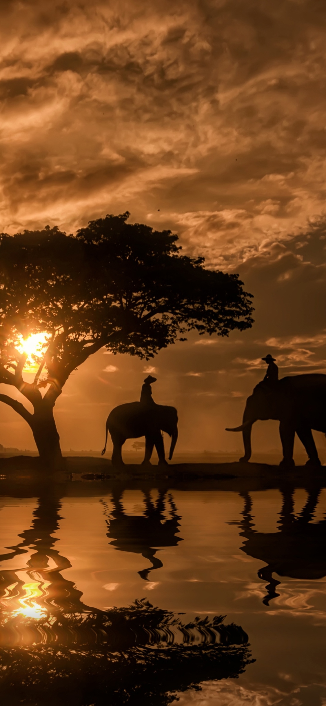 Download mobile wallpaper Sunset, Reflection, Silhouette, Tree, Elephant, Photography for free.