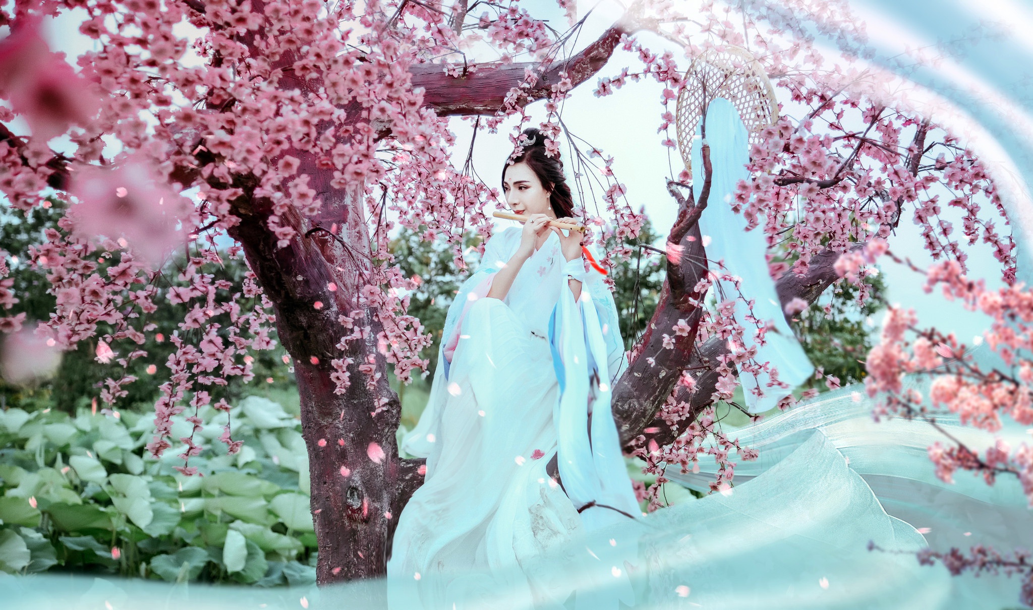 Download mobile wallpaper Kimono, Brunette, Model, Women, Blossom, Asian, Flute for free.