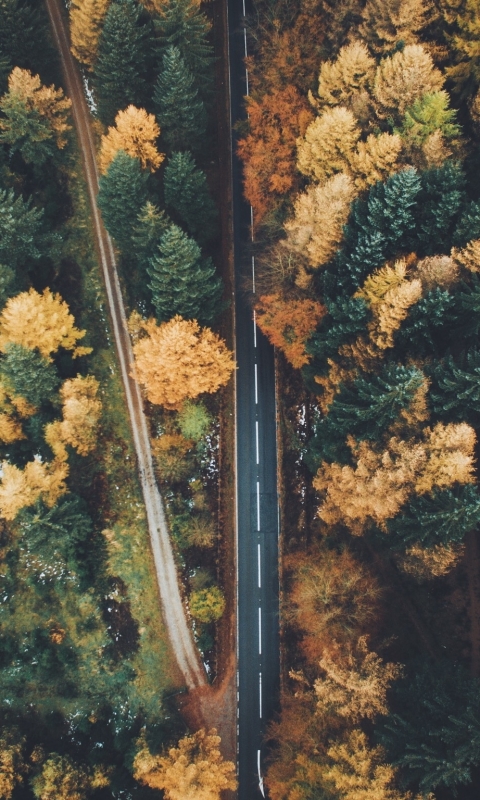 Download mobile wallpaper Nature, Road, Forest, Fall, Aerial, Man Made for free.