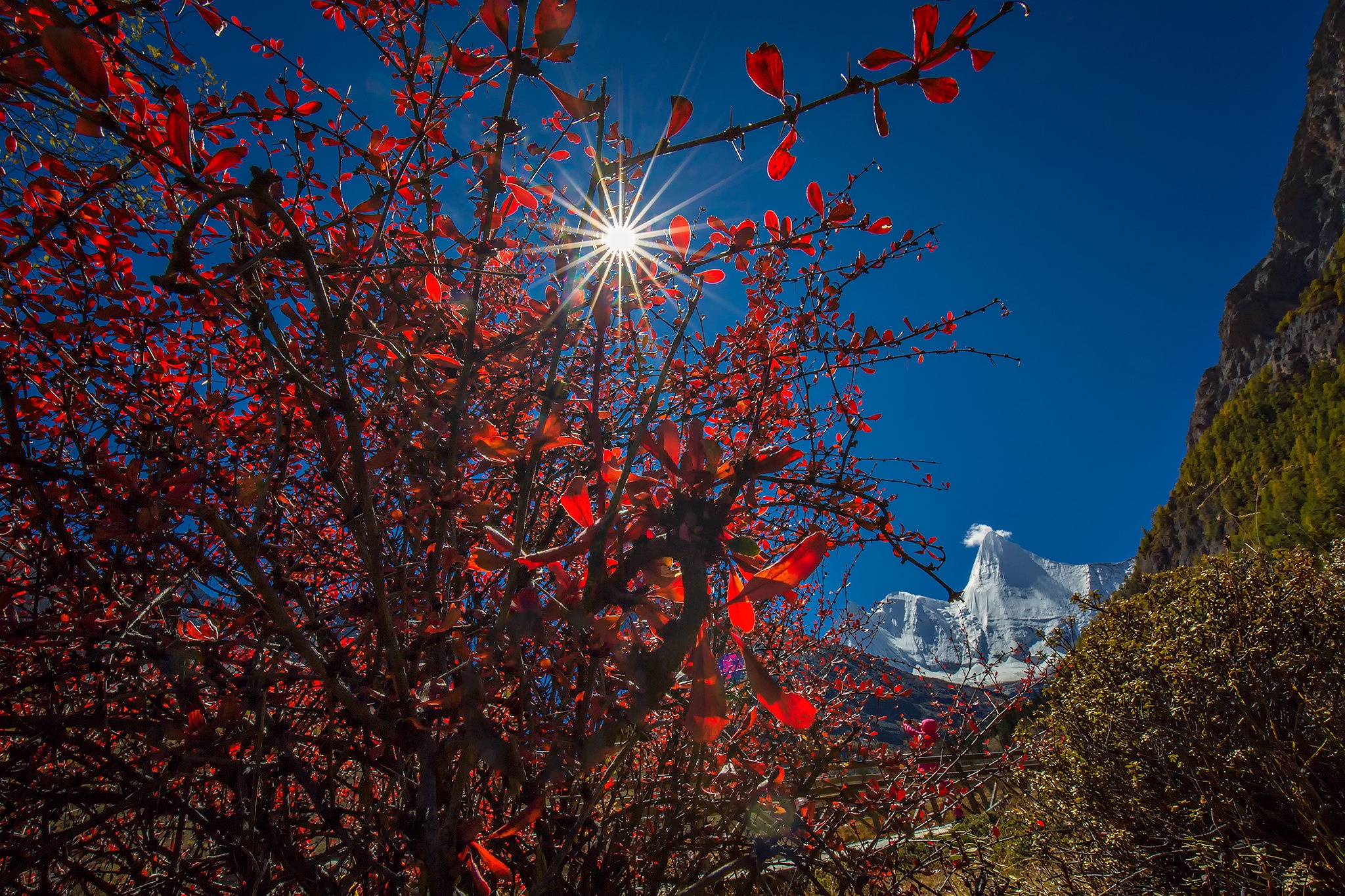 Free download wallpaper Sun, Mountain, Tree, Earth, Sunbeam on your PC desktop