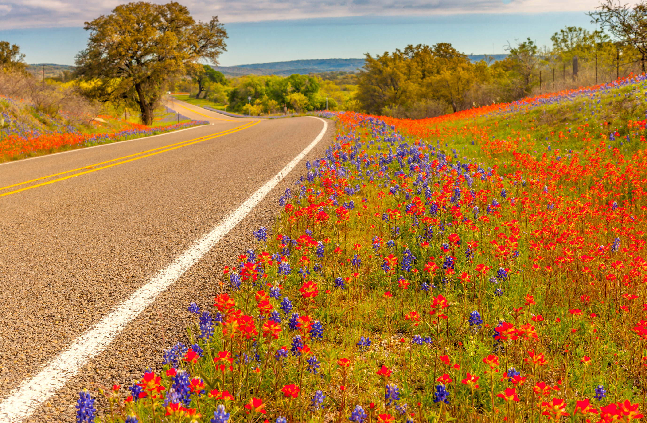 838152 descargar fondo de pantalla primavera, hecho por el hombre, carretera, flor, texas: protectores de pantalla e imágenes gratis
