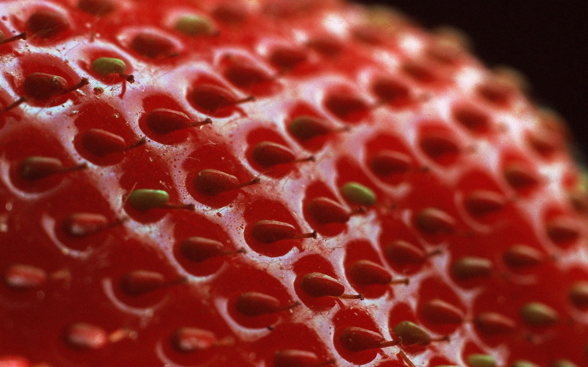 Free download wallpaper Macro, Surface, Shadow, Berry, Strawberry on your PC desktop