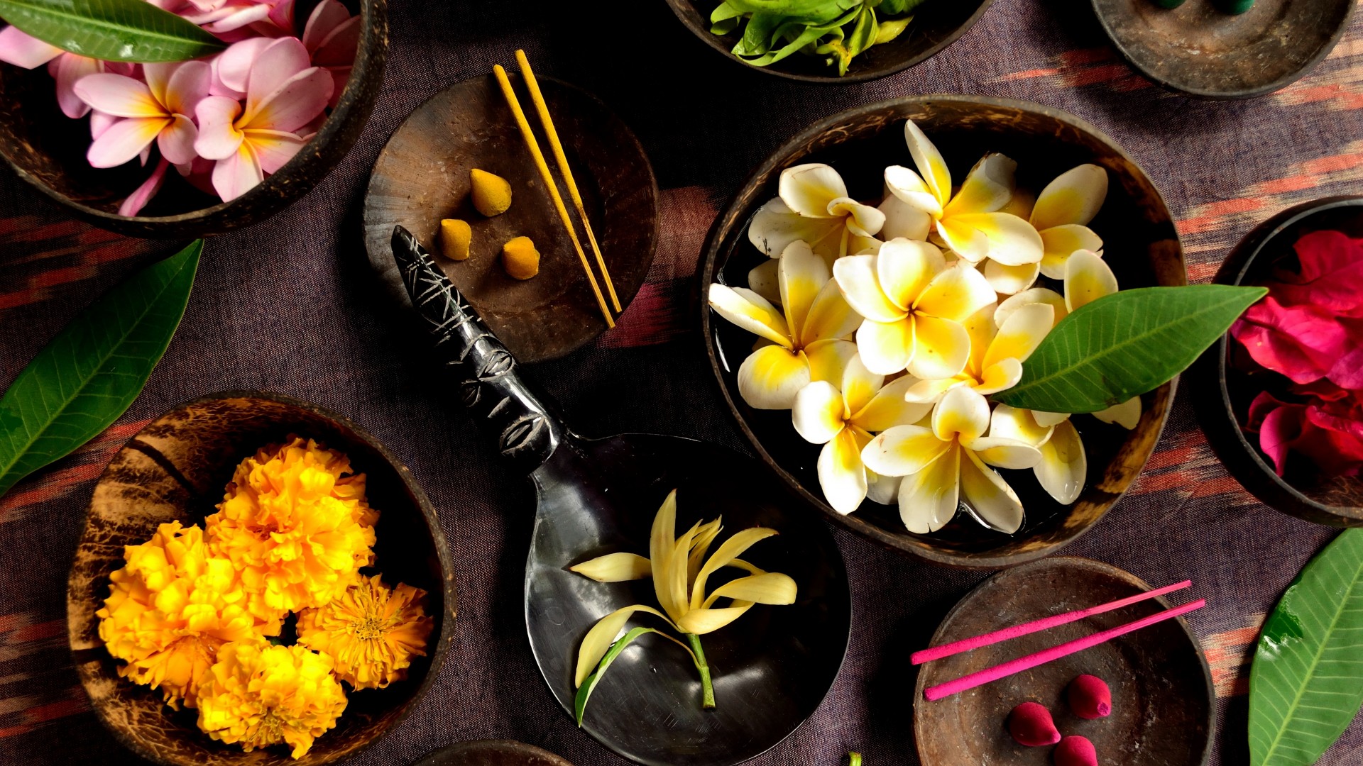 bowl, photography, still life, flower, frangipani